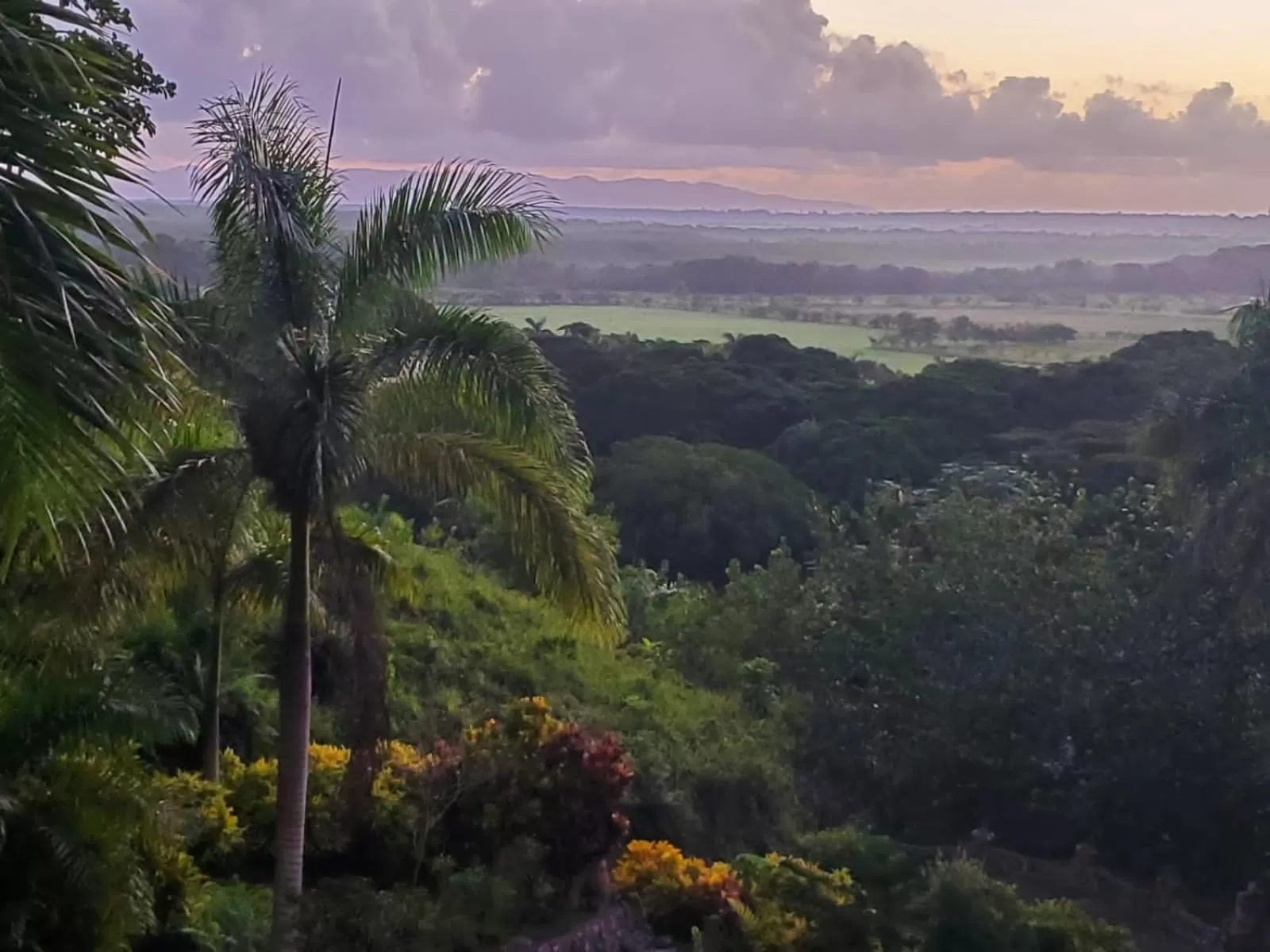 Mountain view in Altos de Caño Hondo