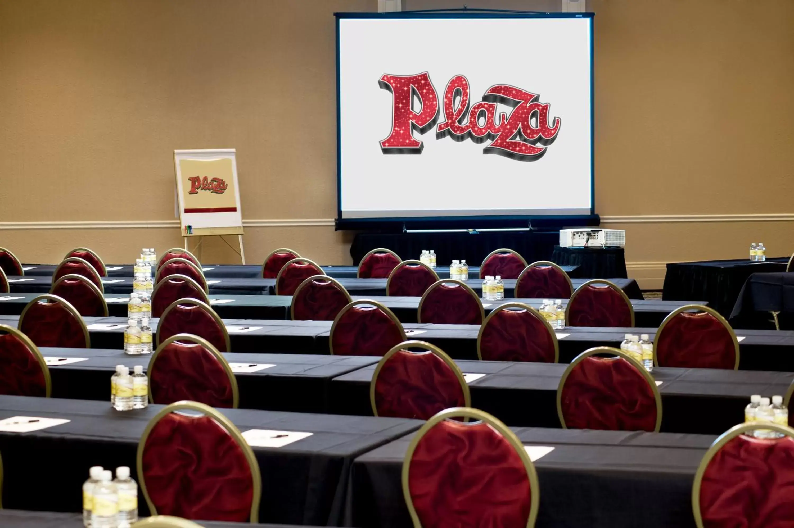 Meeting/conference room in Plaza Hotel & Casino