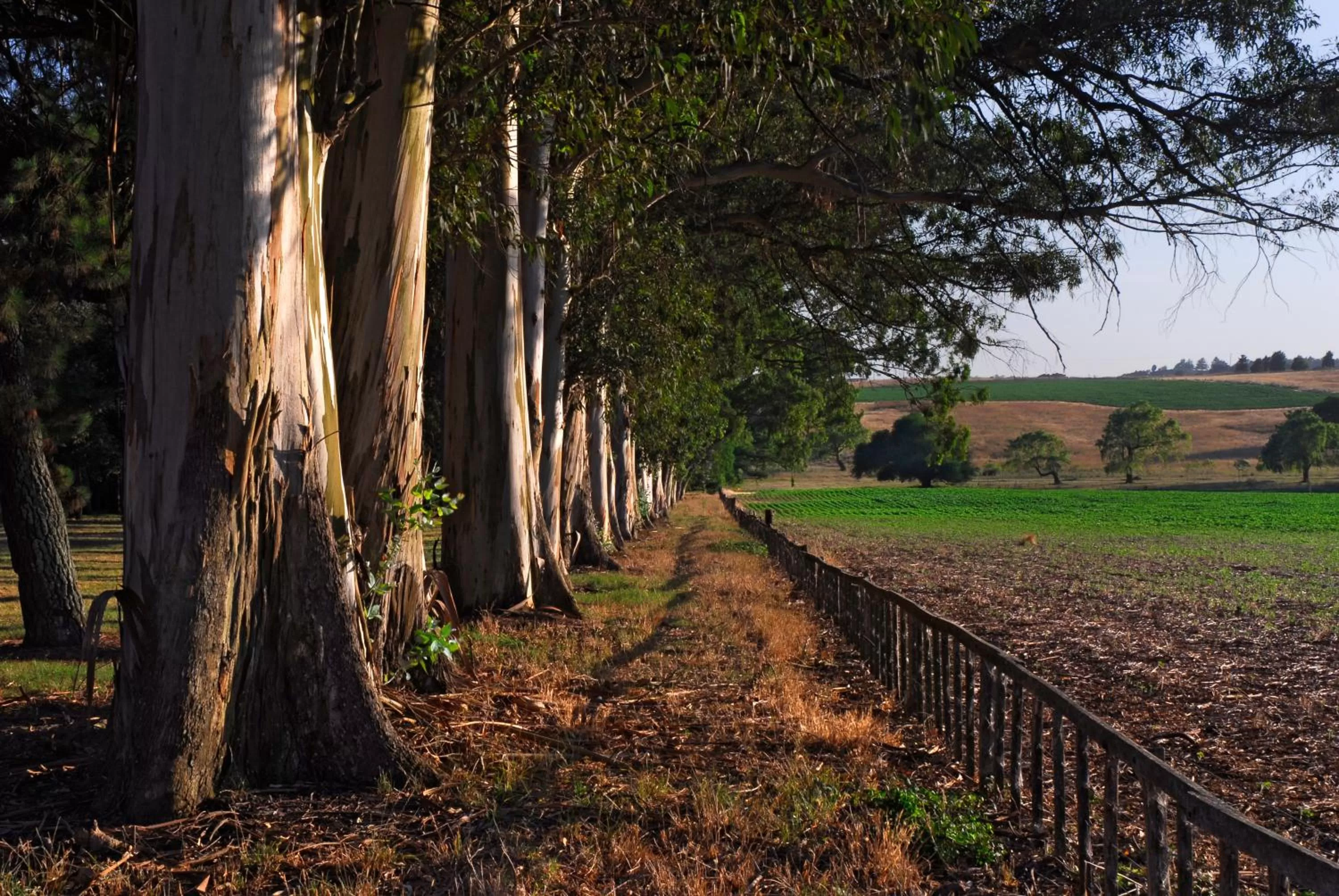 Natural landscape in Estancia Ave María