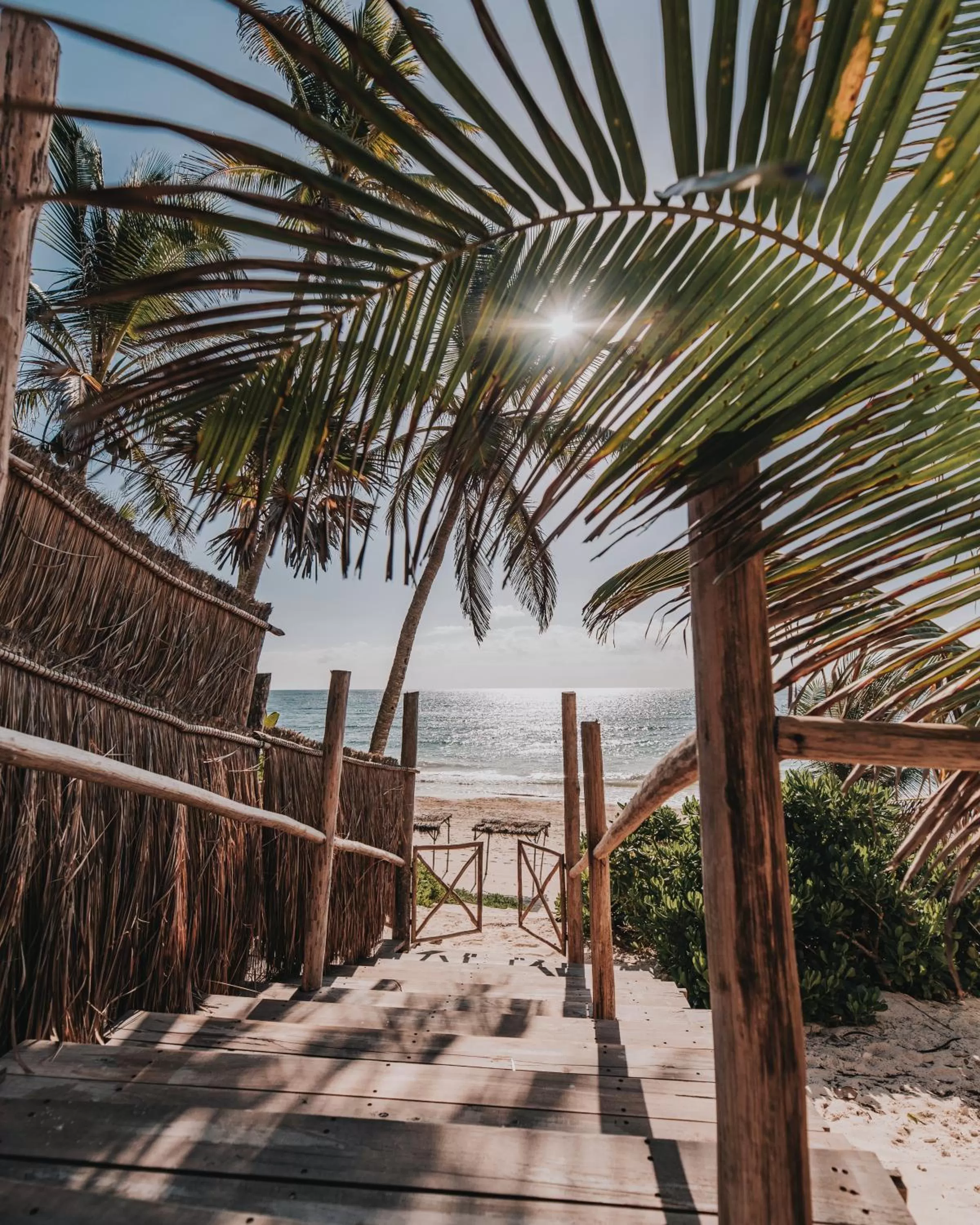 Area and facilities in Papaya Playa Project, Tulum, a Member of Design Hotels