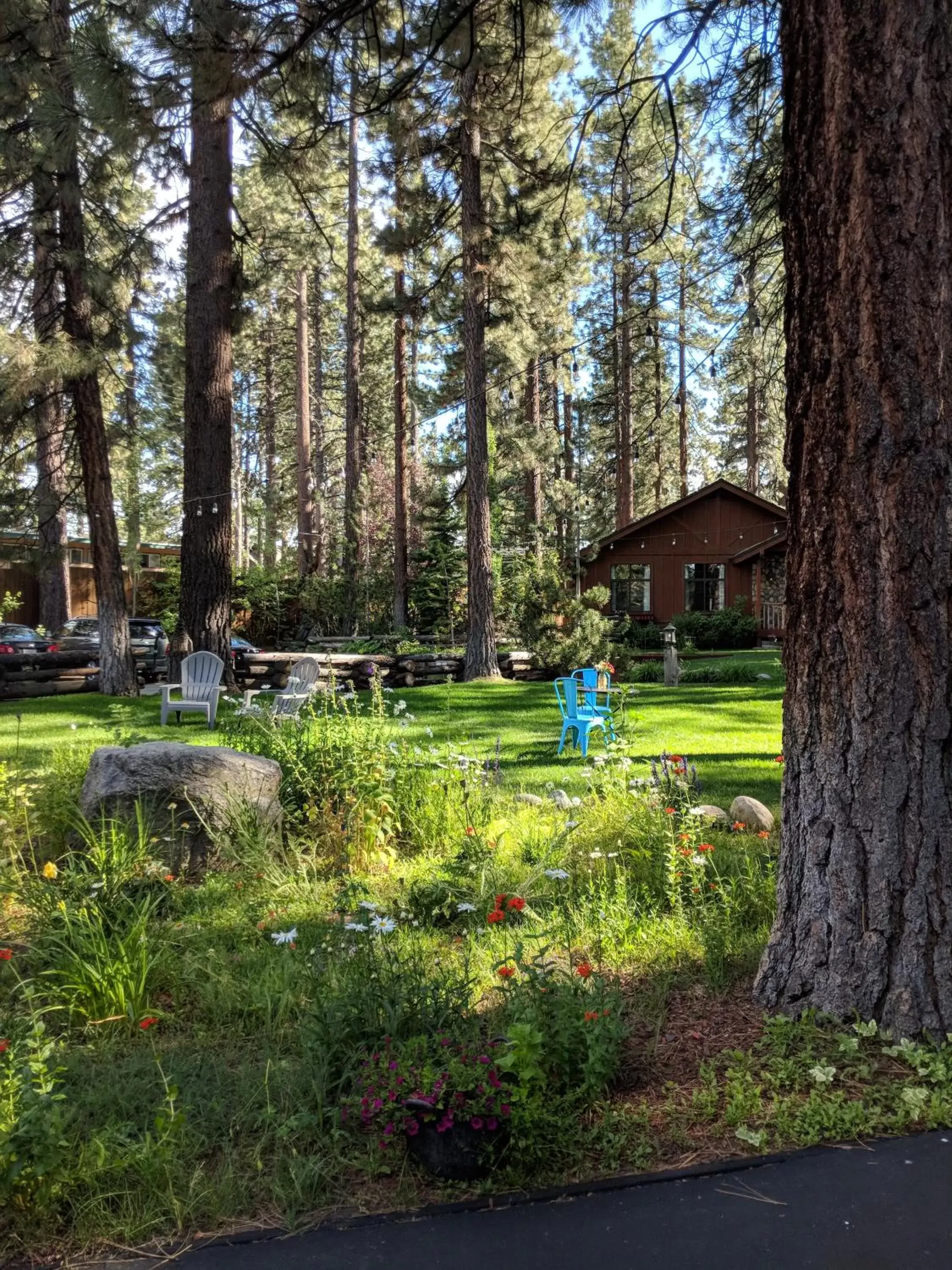 Summer, Garden in Black Bear Lodge
