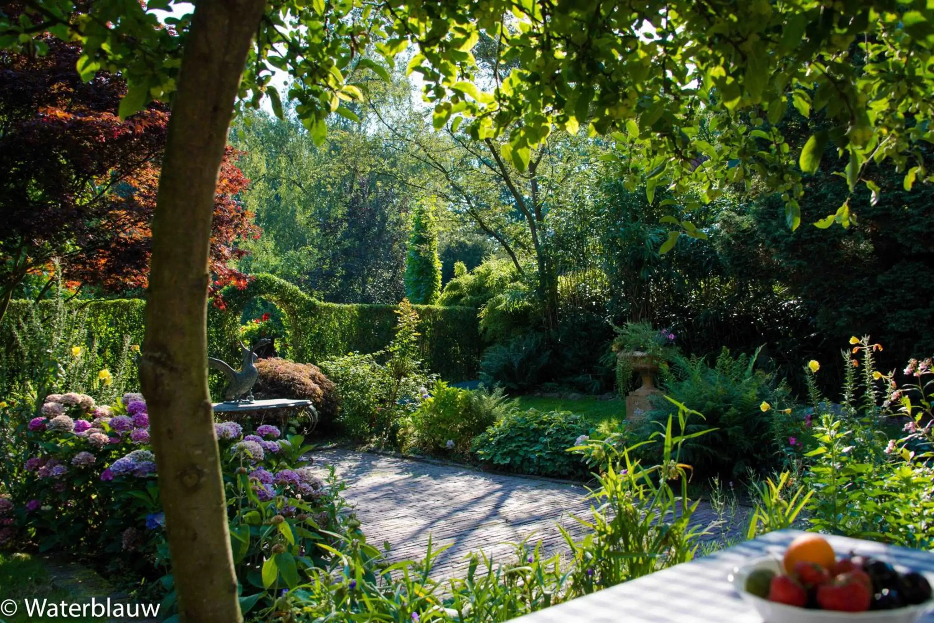 Area and facilities, Garden in Logement Swaenenvecht