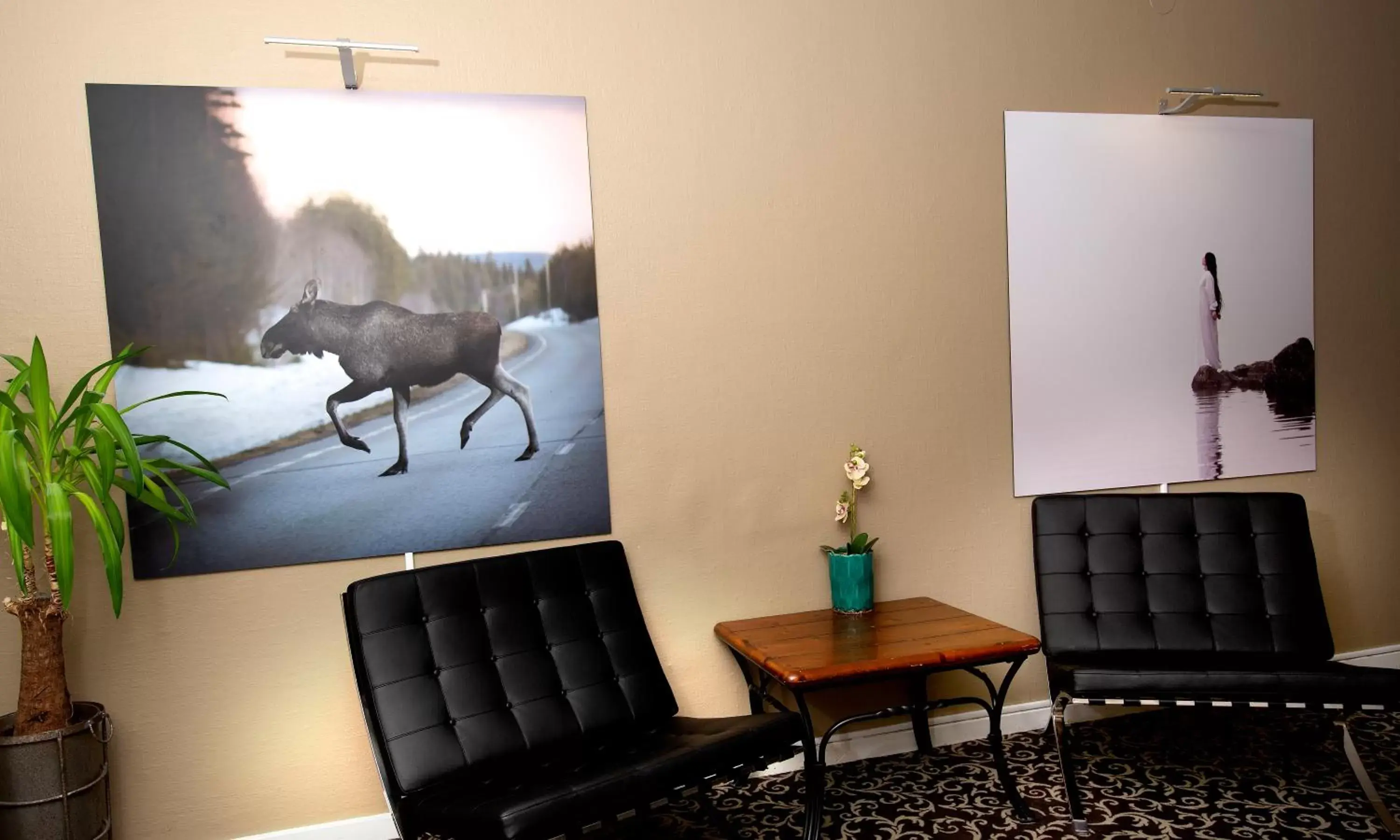 Lobby or reception, Seating Area in Sure Hotel by Best Western Algen