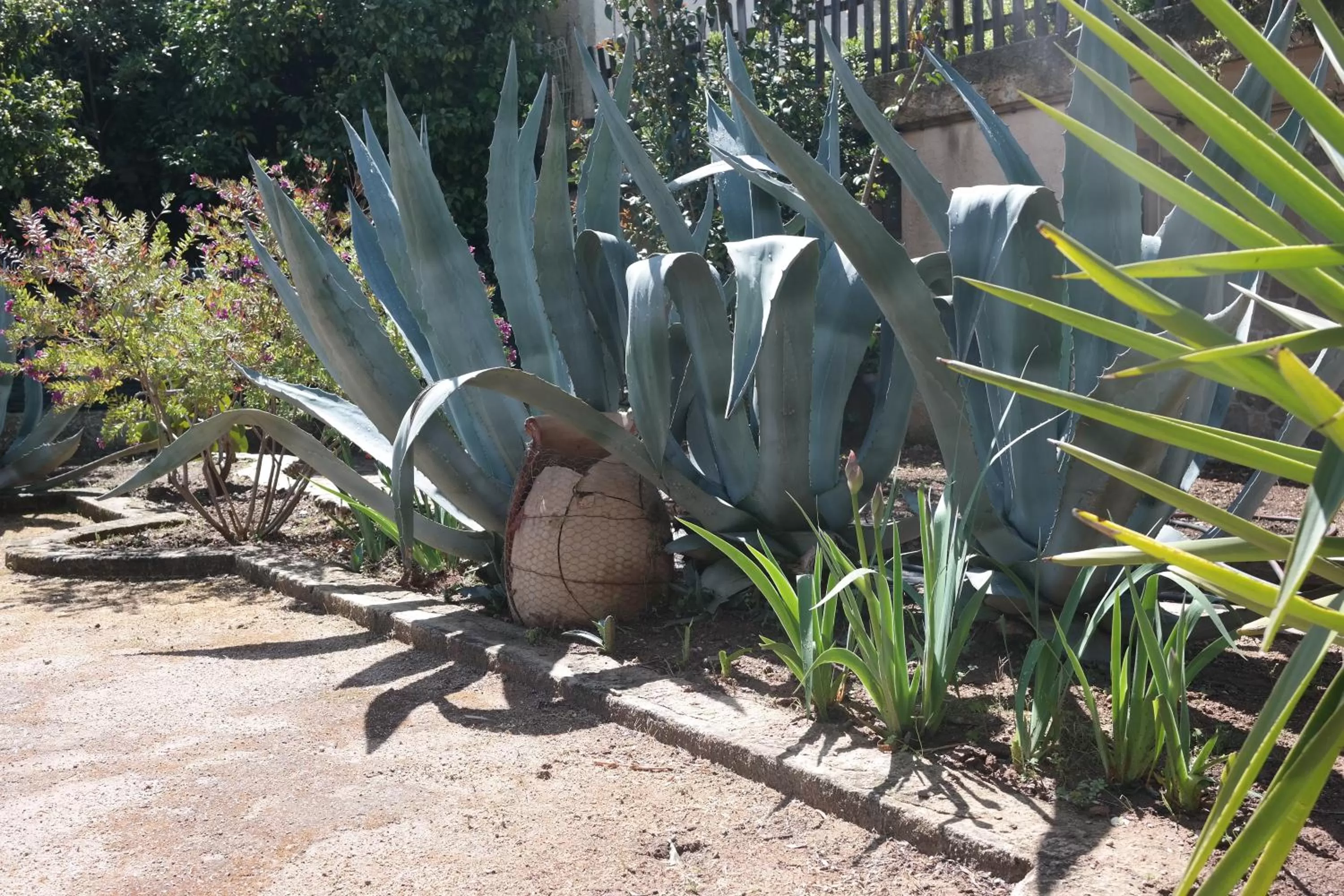 Garden in Hotel La Voile