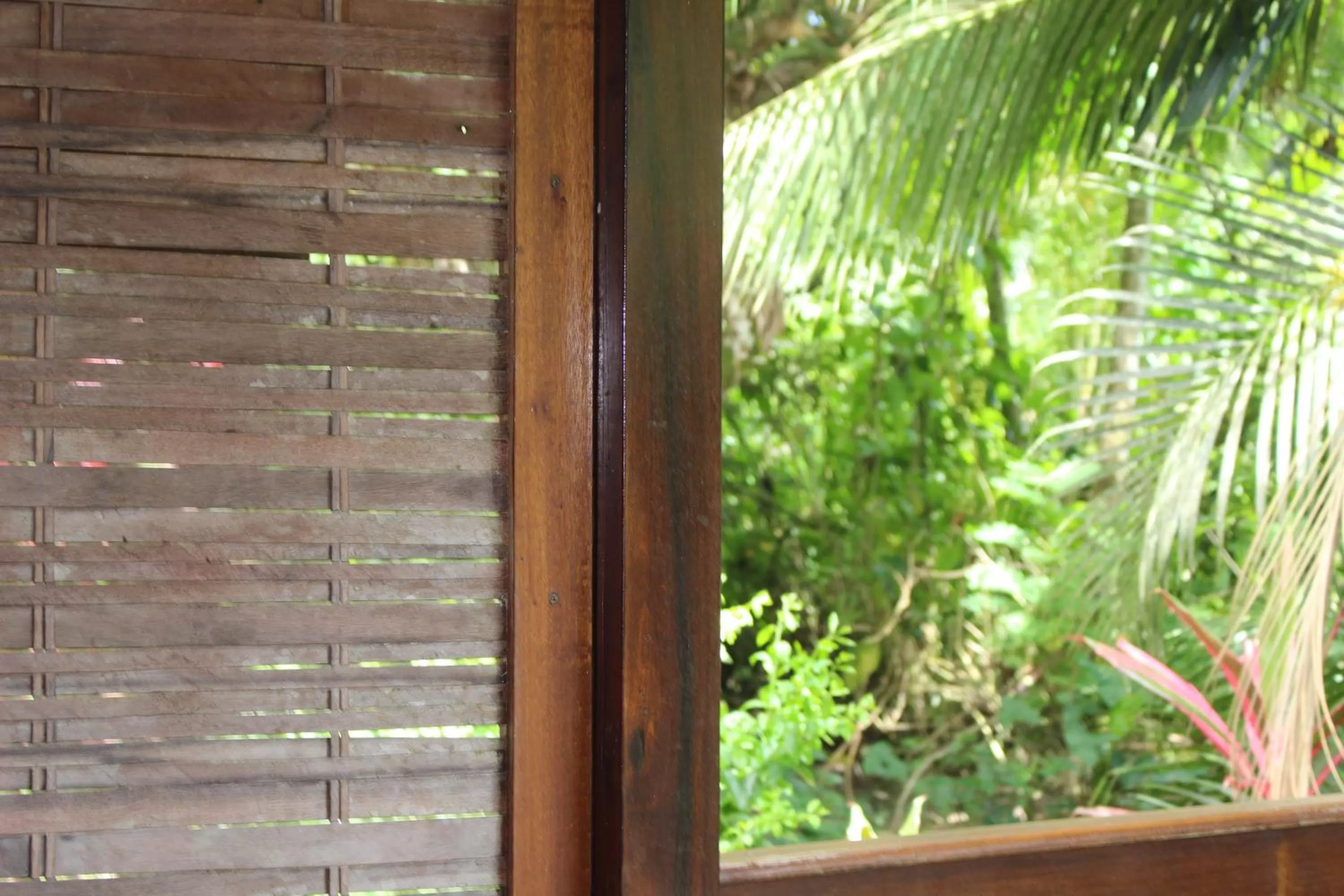 Patio in Acajou Hotel