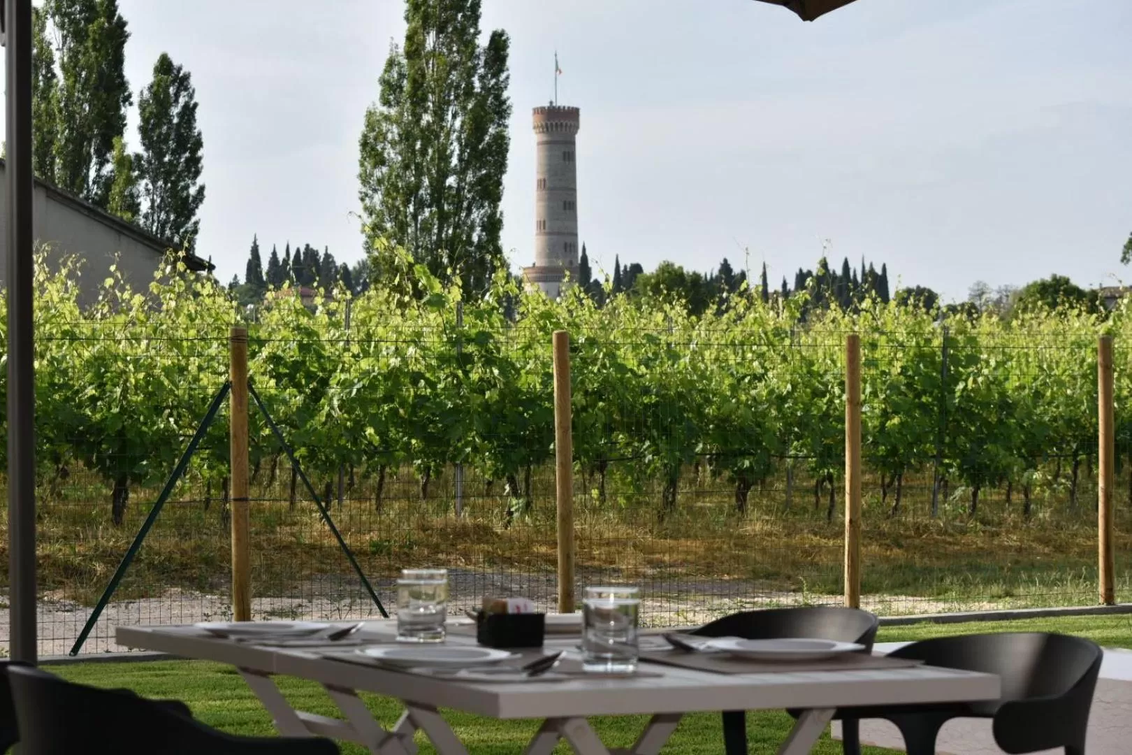 Garden in Il Vigneto