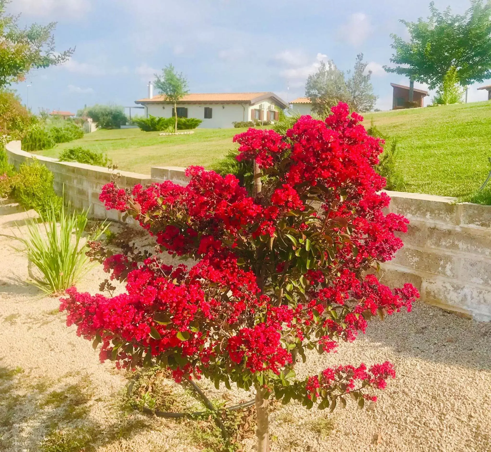 Garden in La collina delle fonti