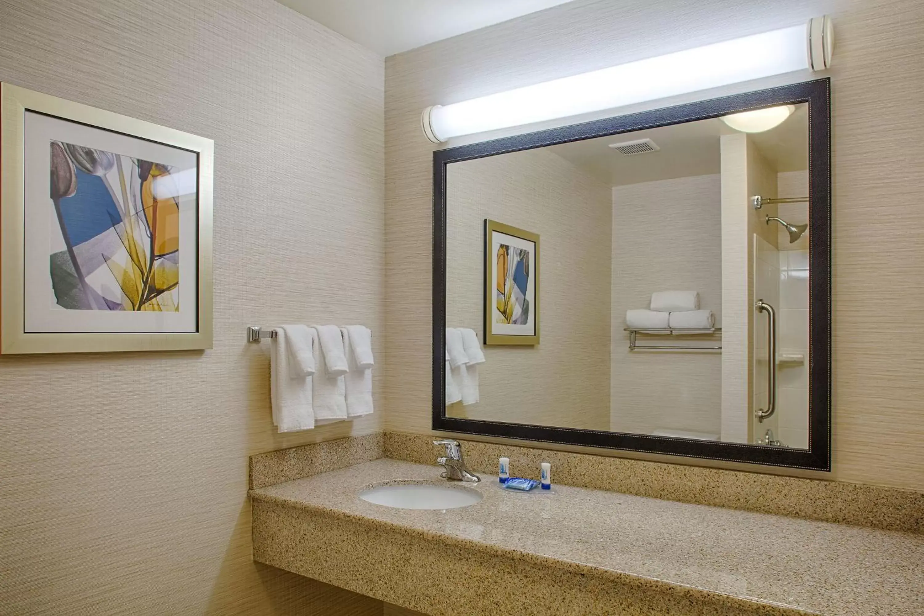 Bathroom in Fairfield Inn & Suites Atlanta McDonough