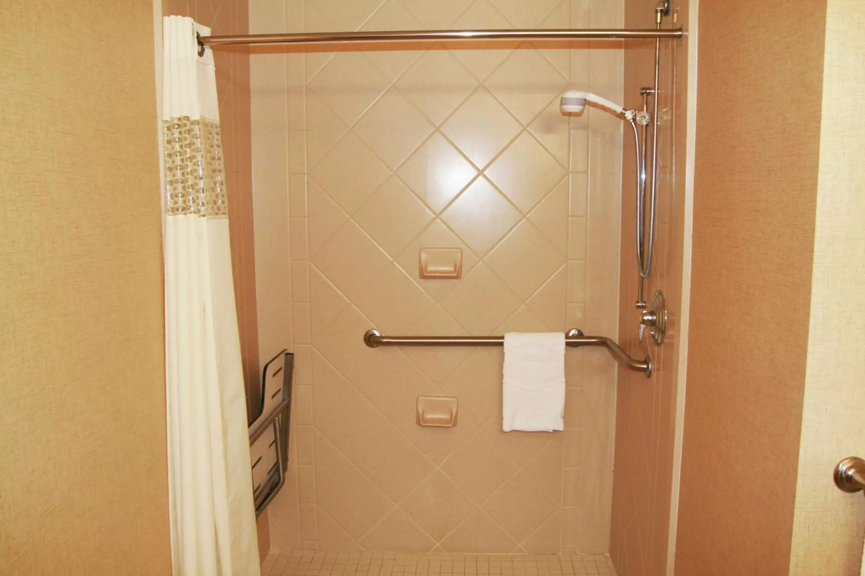 Bathroom in Hampton Inn & Suites Lady Lake/The Villages