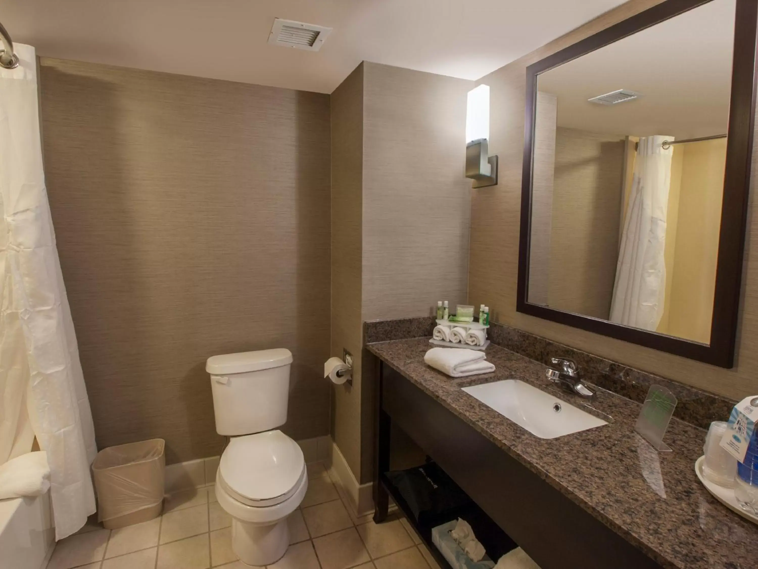 Bathroom in Holiday Inn Express & Suites Buffalo Airport, an IHG Hotel