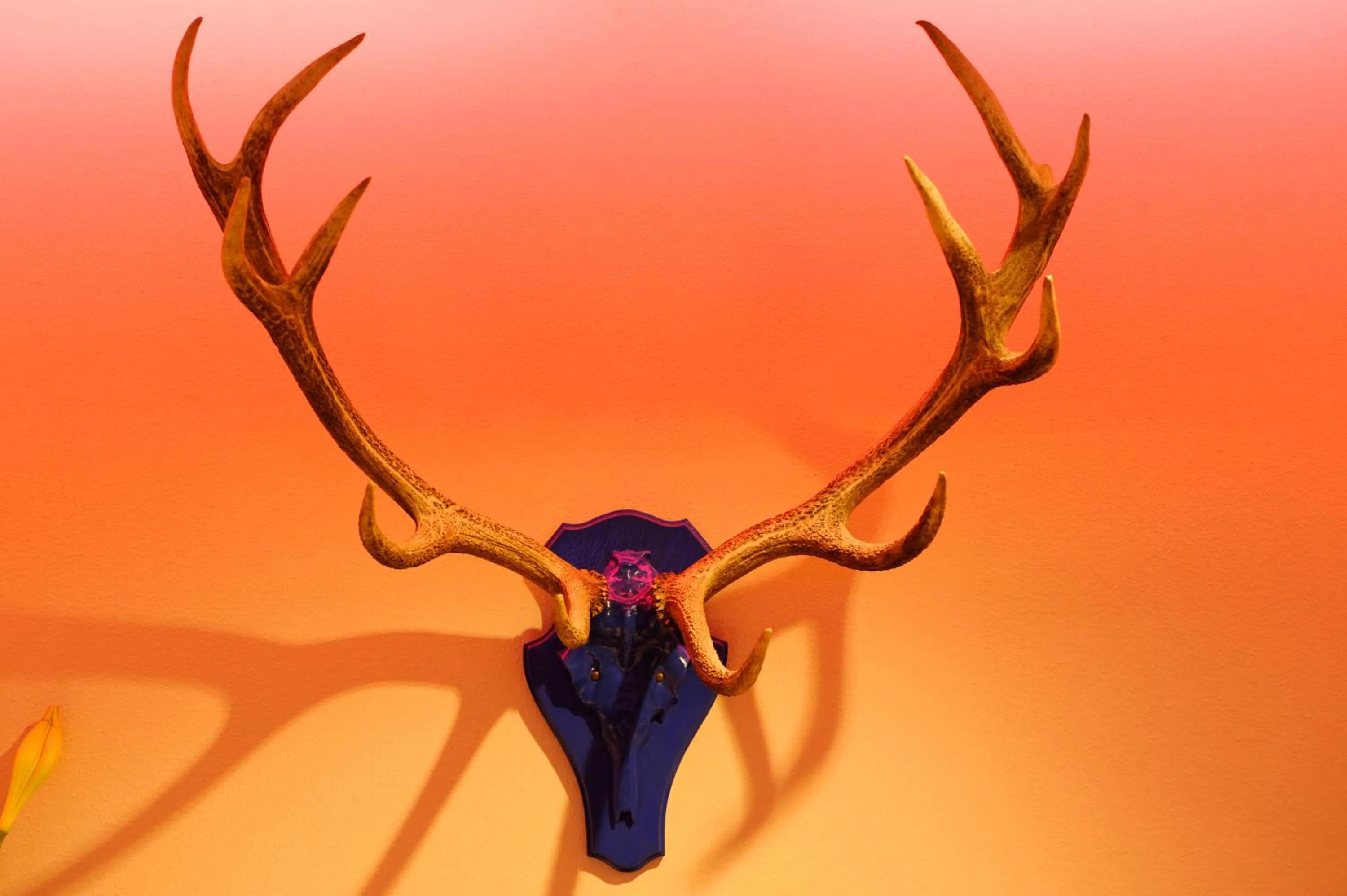 Decorative detail in Hotel Blauer Bock