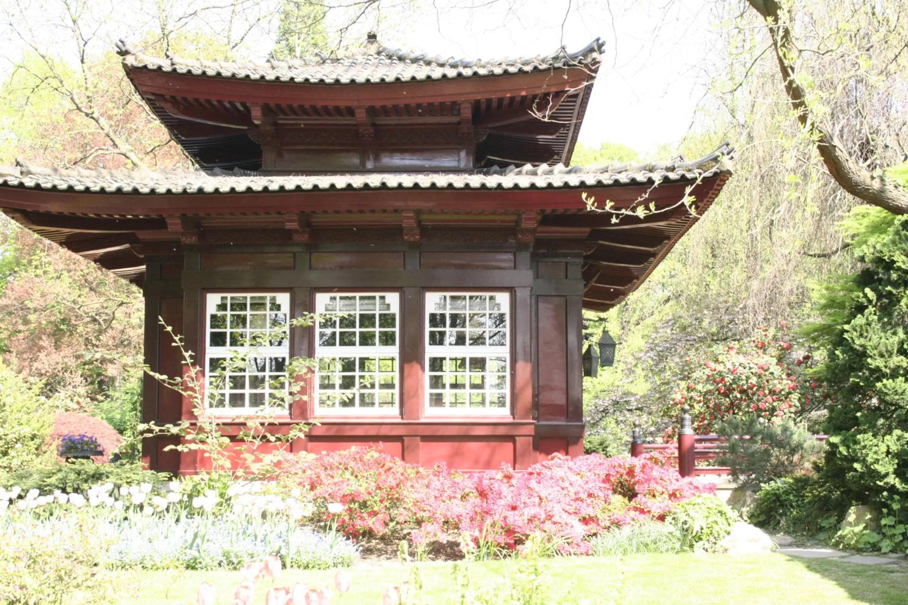 Garden in Kasino Hotel