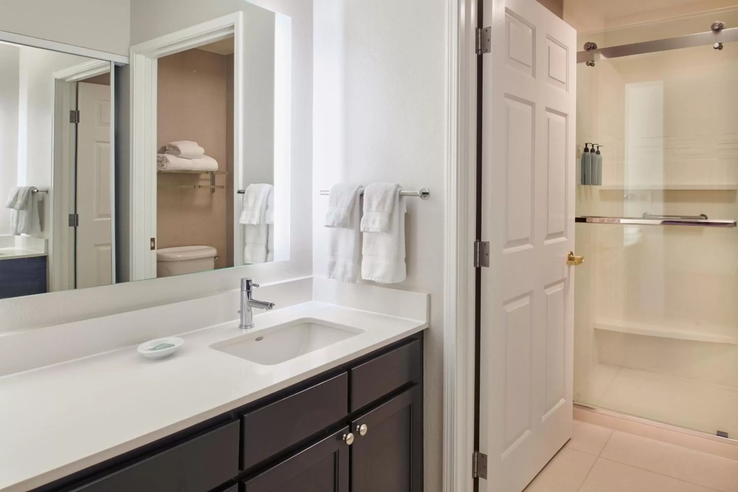 Bathroom in Residence Inn by Marriott Detroit / Novi