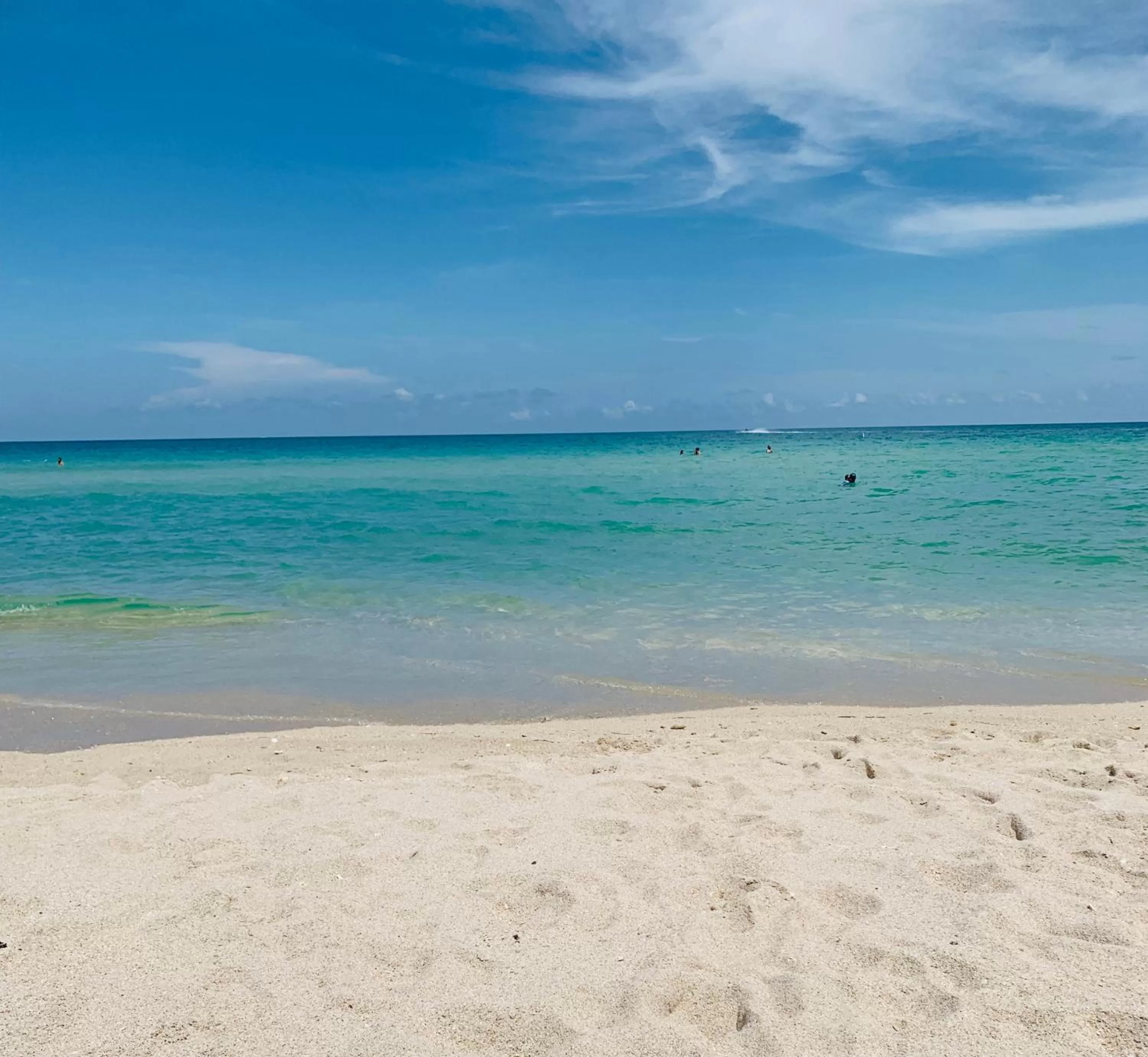 Natural landscape in Pelican Hotel