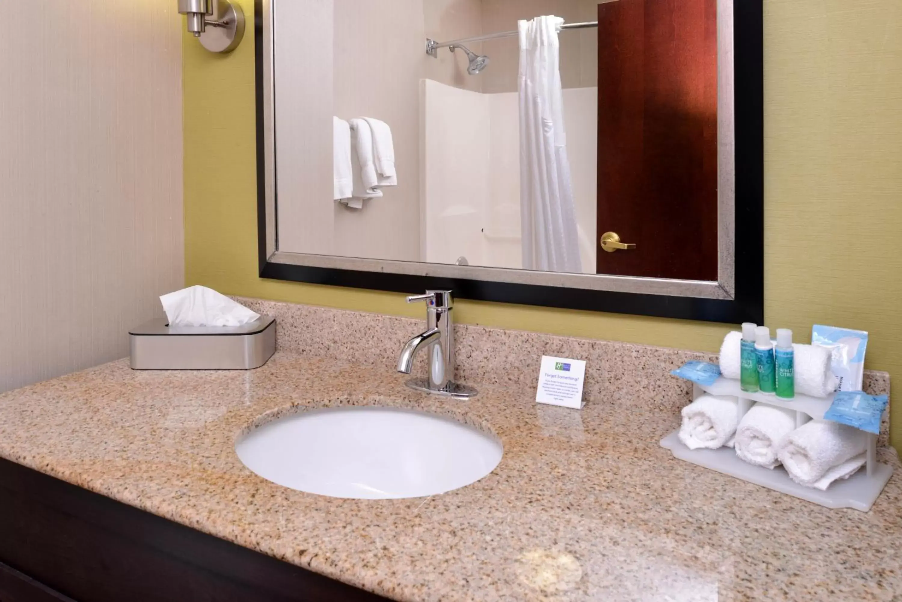 Bathroom in Holiday Inn Express Hotel & Suites Youngstown - North Lima/Boardman, an IHG Hotel