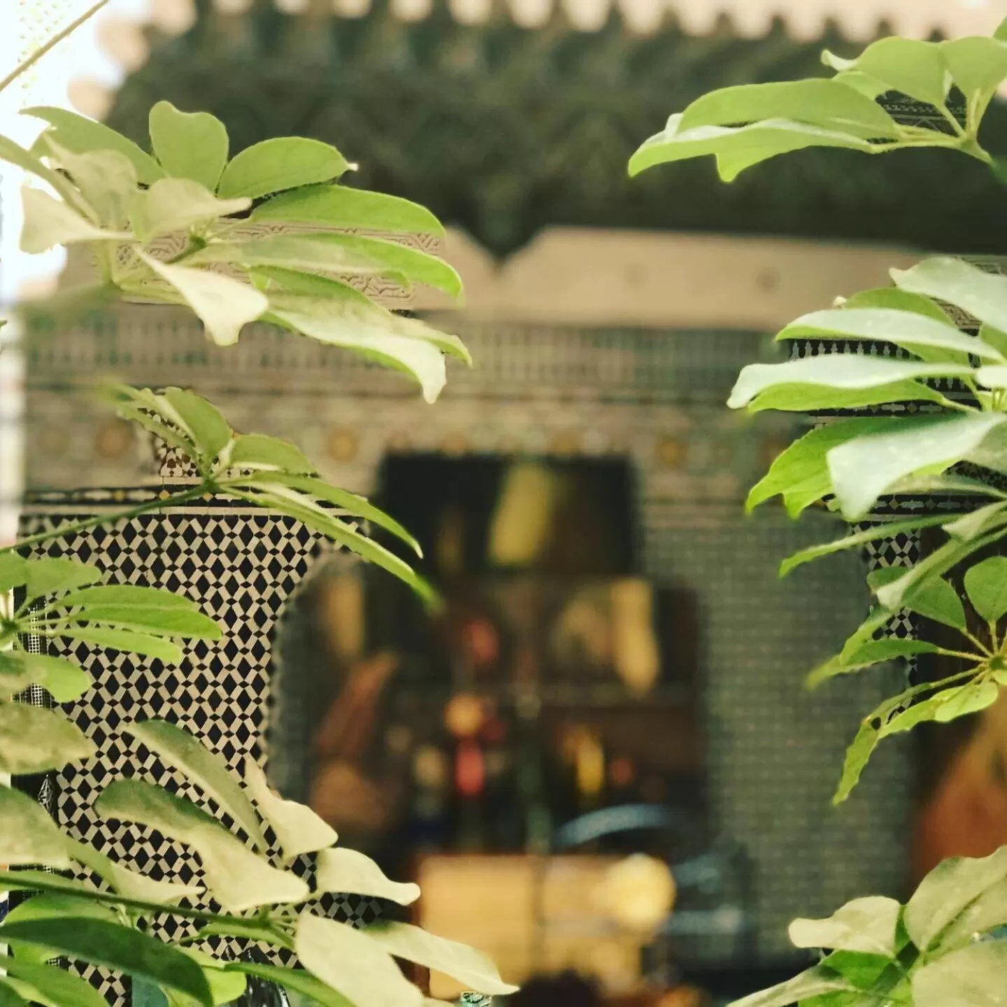 Lobby or reception in Riad Taj Salma