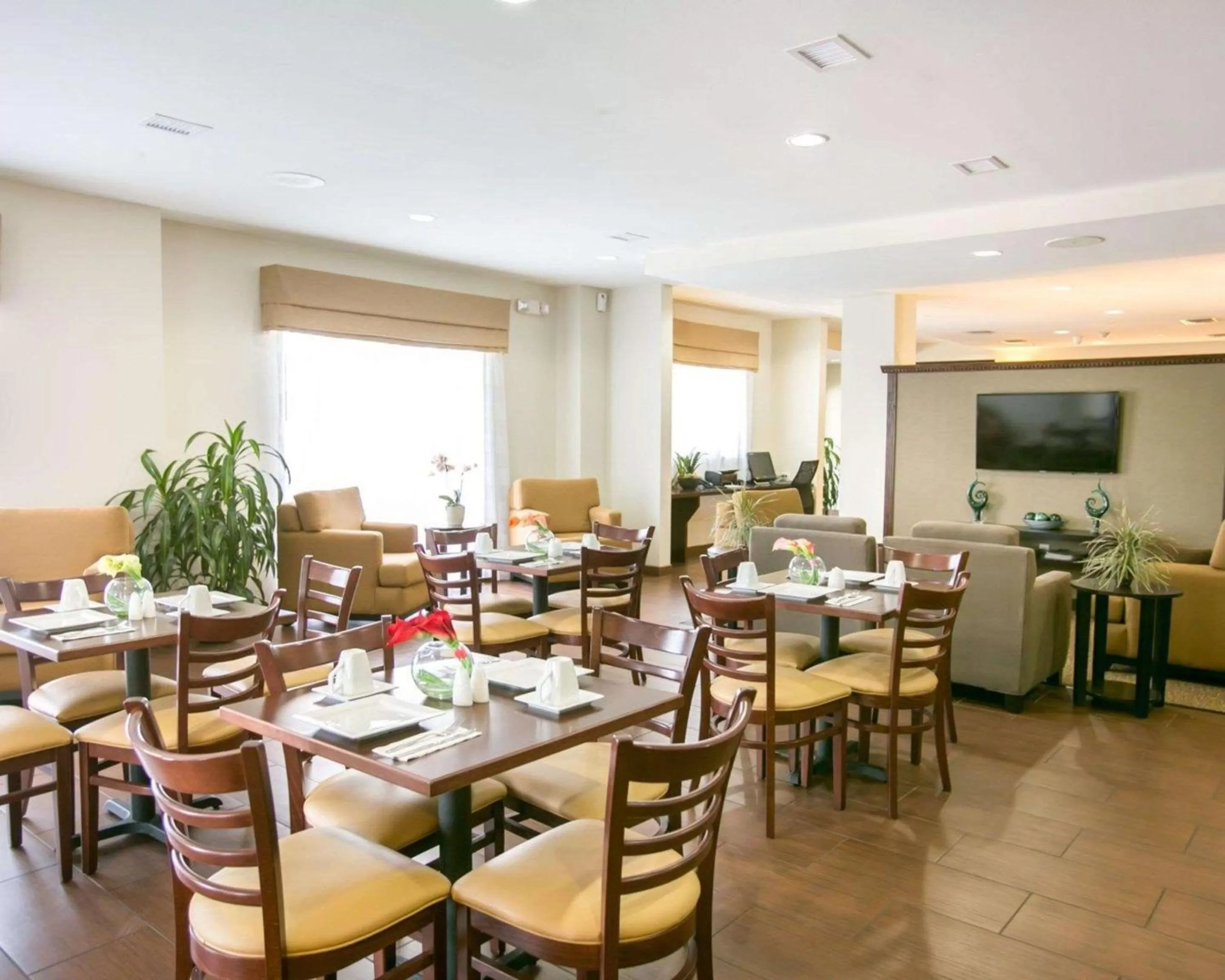 Restaurant/places to eat in Sleep Inn & Suites Austin North - I-35