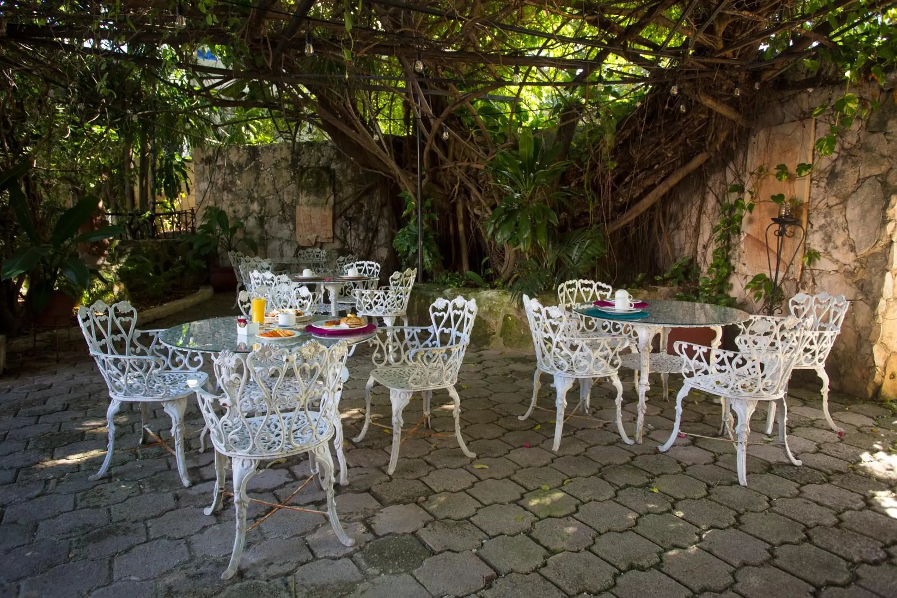 Garden in Hotel Xbalamqué & Spa Cancún Centro