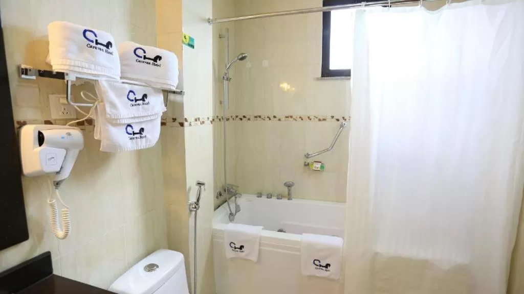 Double or Twin Room in caravan Hotel Addis