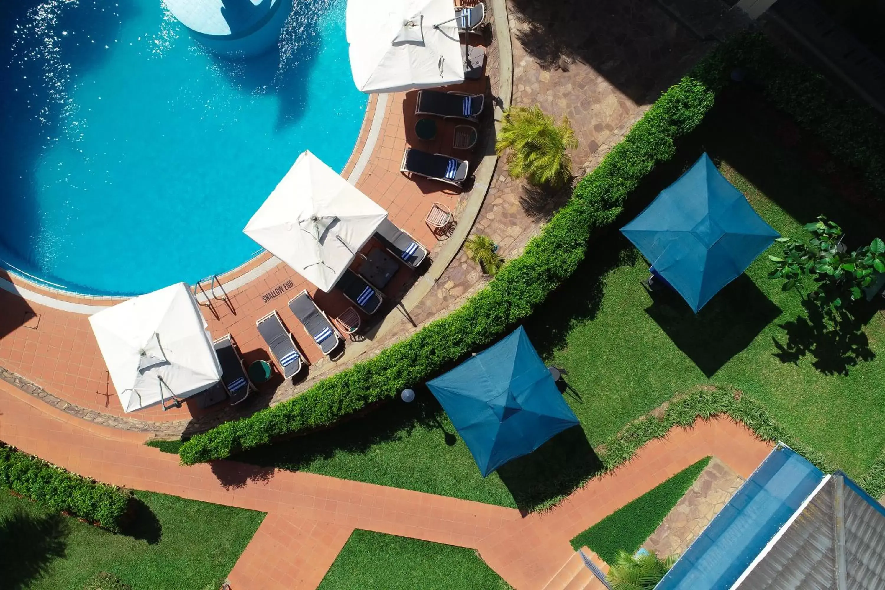 Bird's eye view, Bird's-eye View in Dolphin Suites