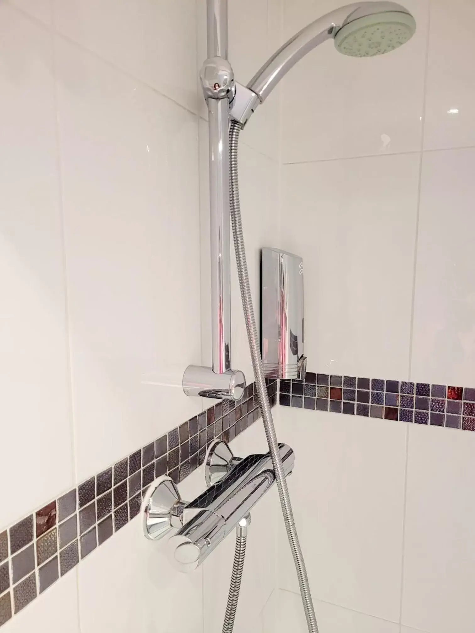 Shower, Bathroom in Mentone Hotel