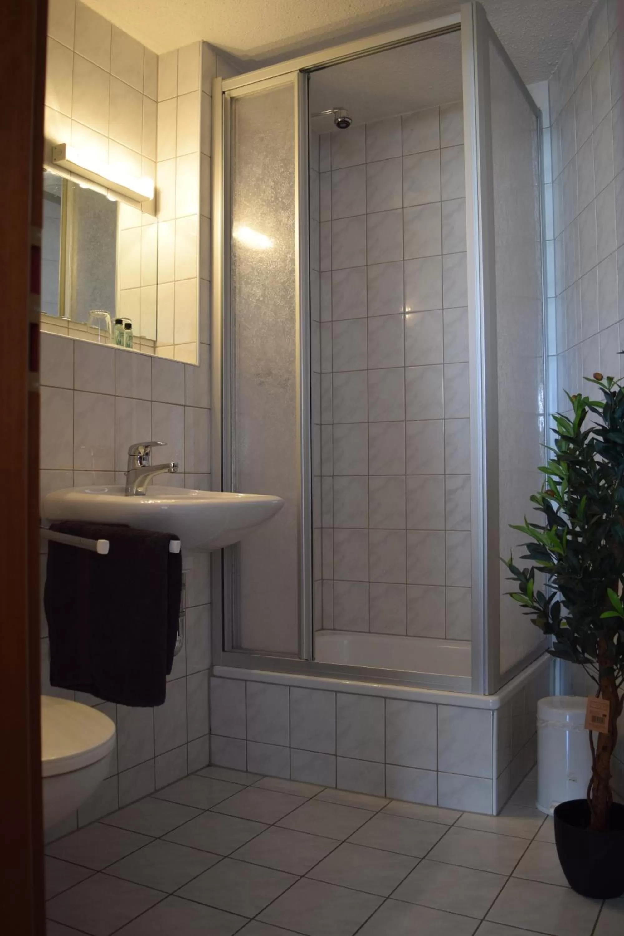 Small Twin Room in Hotel Carola