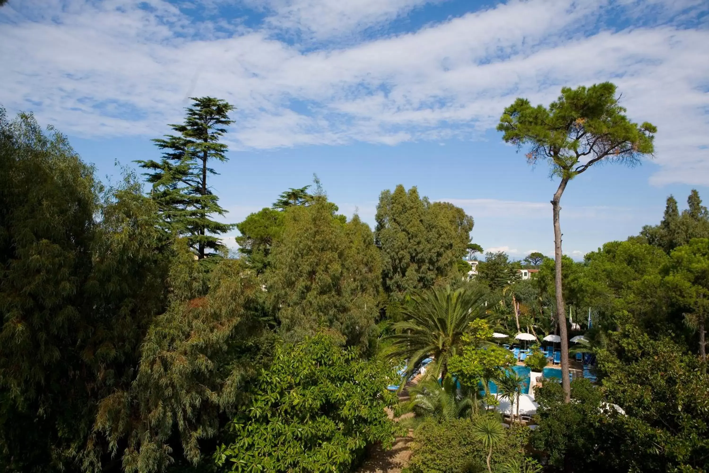 View (from property/room) in Central Park Terme