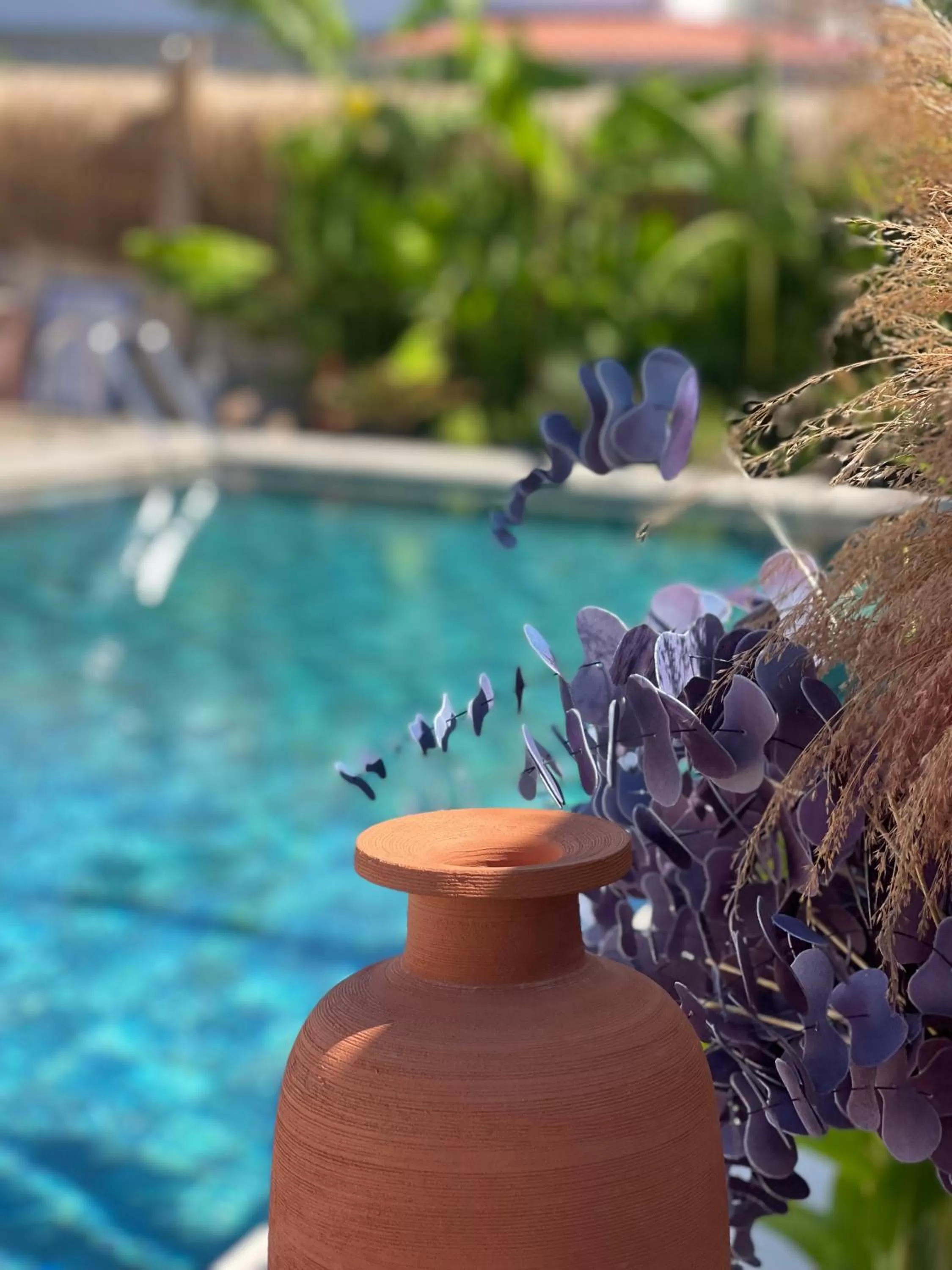 Garden in Voger Alaçatı Silence