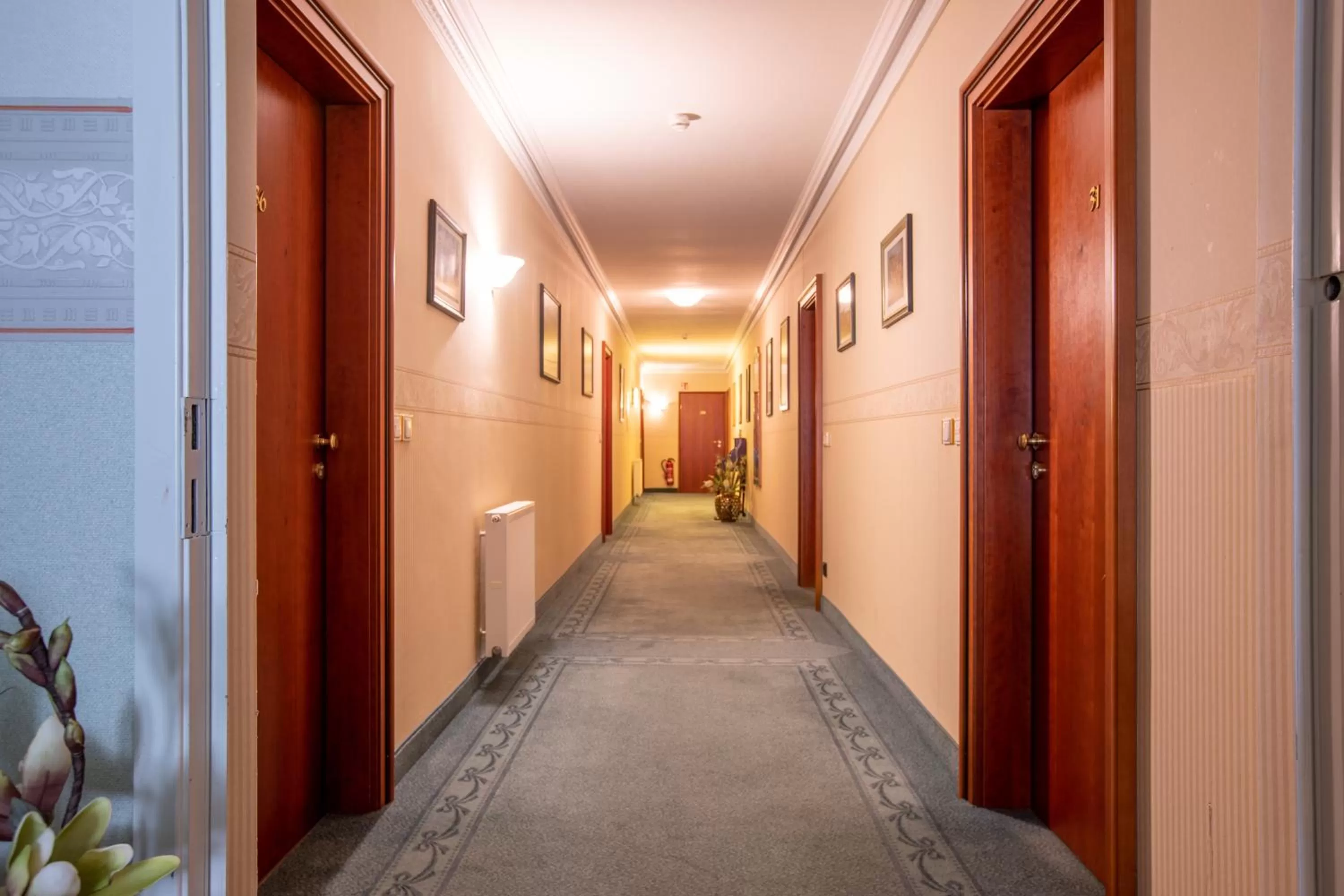 group of guests in Aparthotel Hohenzollern