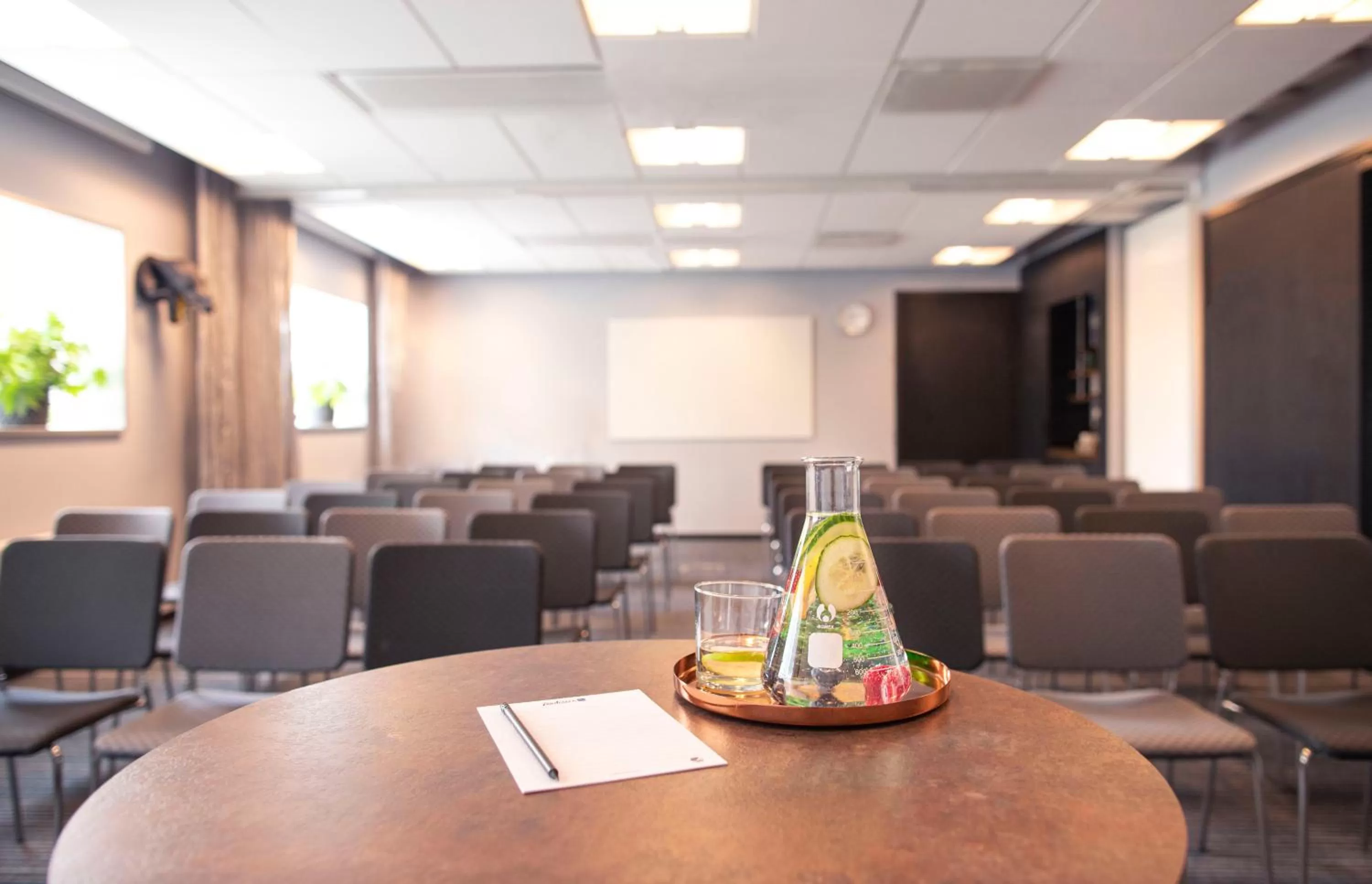 Business facilities in Radisson Blu Riverside Hotel