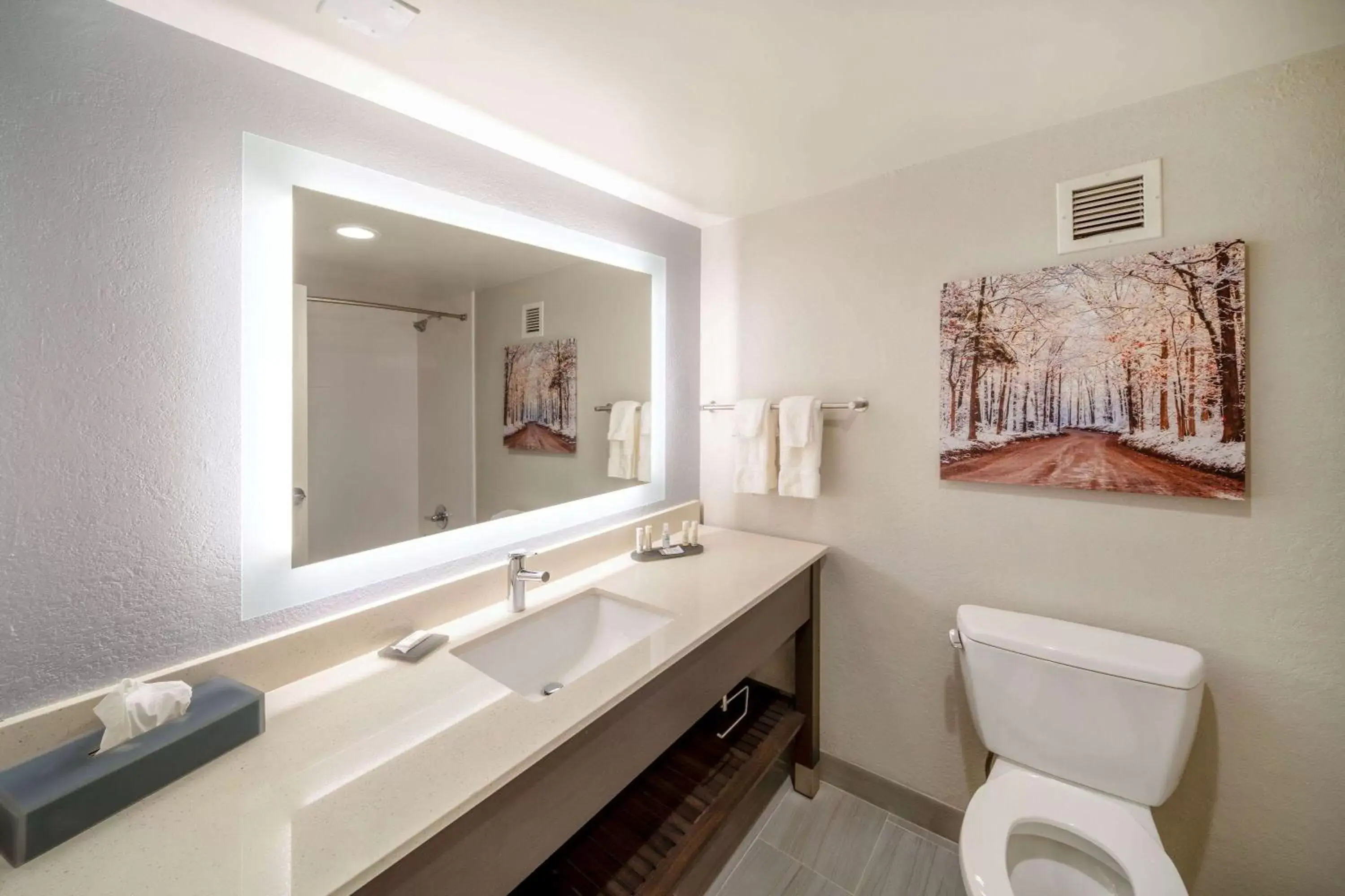 Bathroom in La Quinta by Wyndham Jonesboro