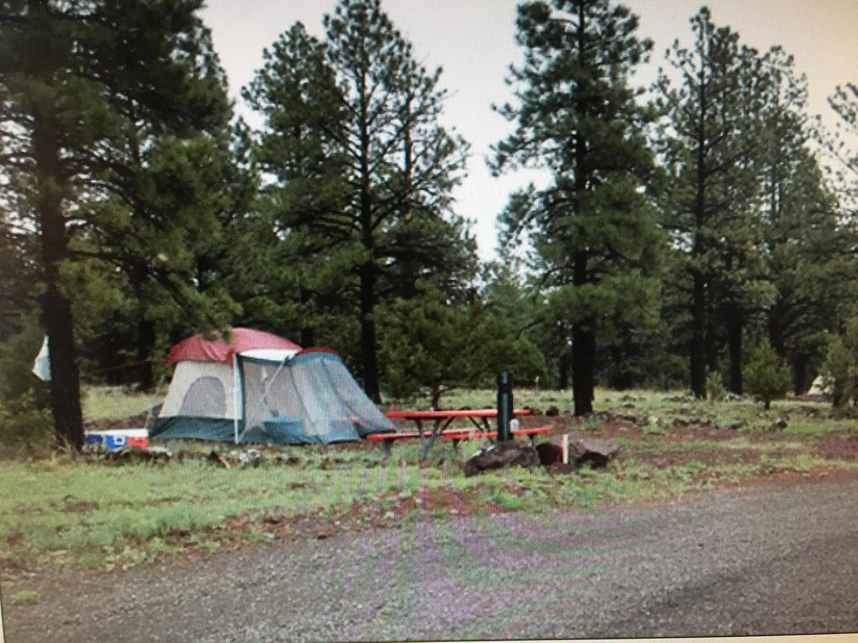 Natural landscape in The Canyon Motel & RV Park