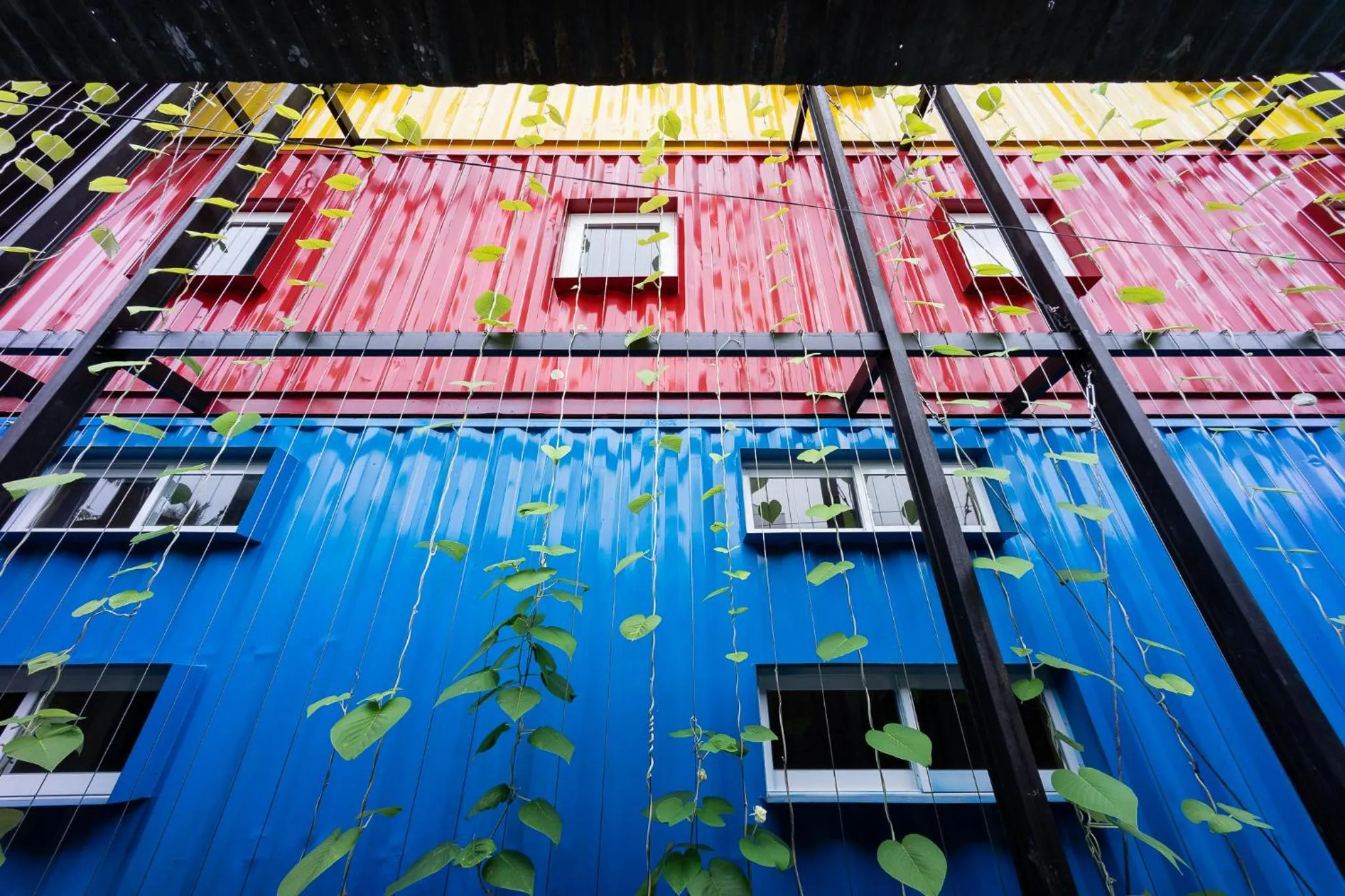 Garden view in Ccasa Hostel