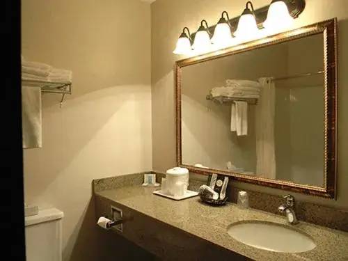 Bathroom in Boarders Inn & Suites by Cobblestone Hotels - Munising