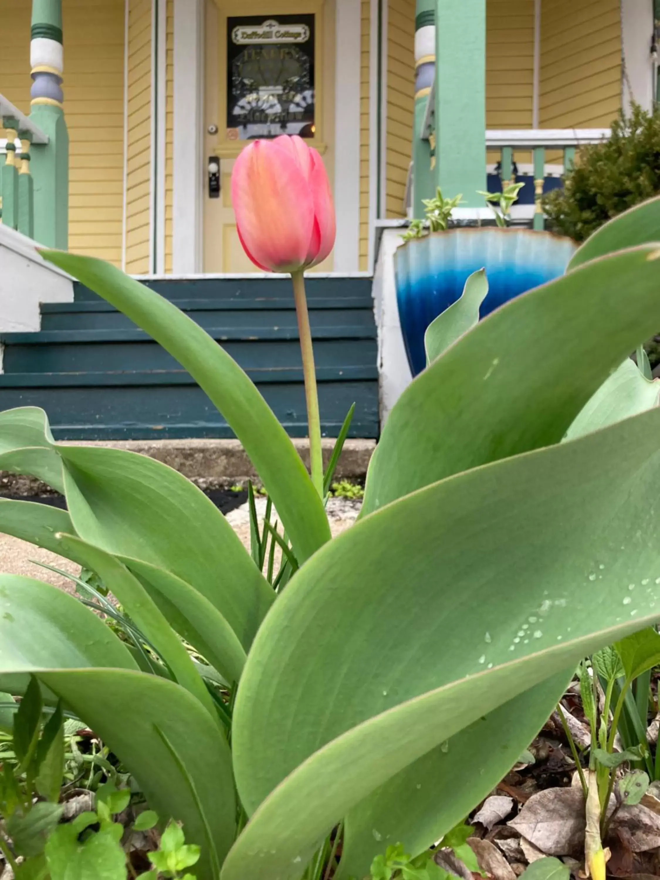 Property building in All Seasons Inn