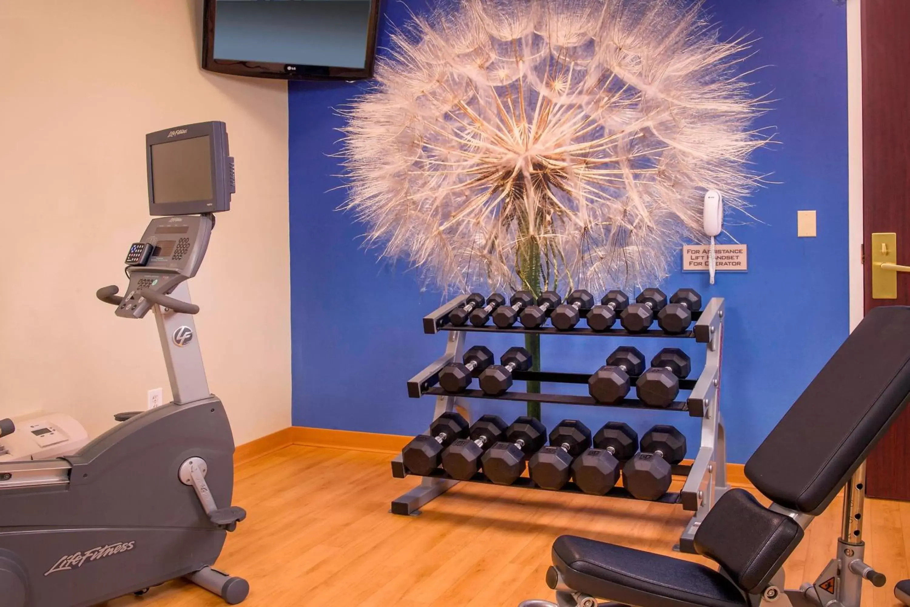 Fitness centre/facilities, Fitness Center/Facilities in SpringHill Suites Raleigh-Durham Airport/Research Triangle Park