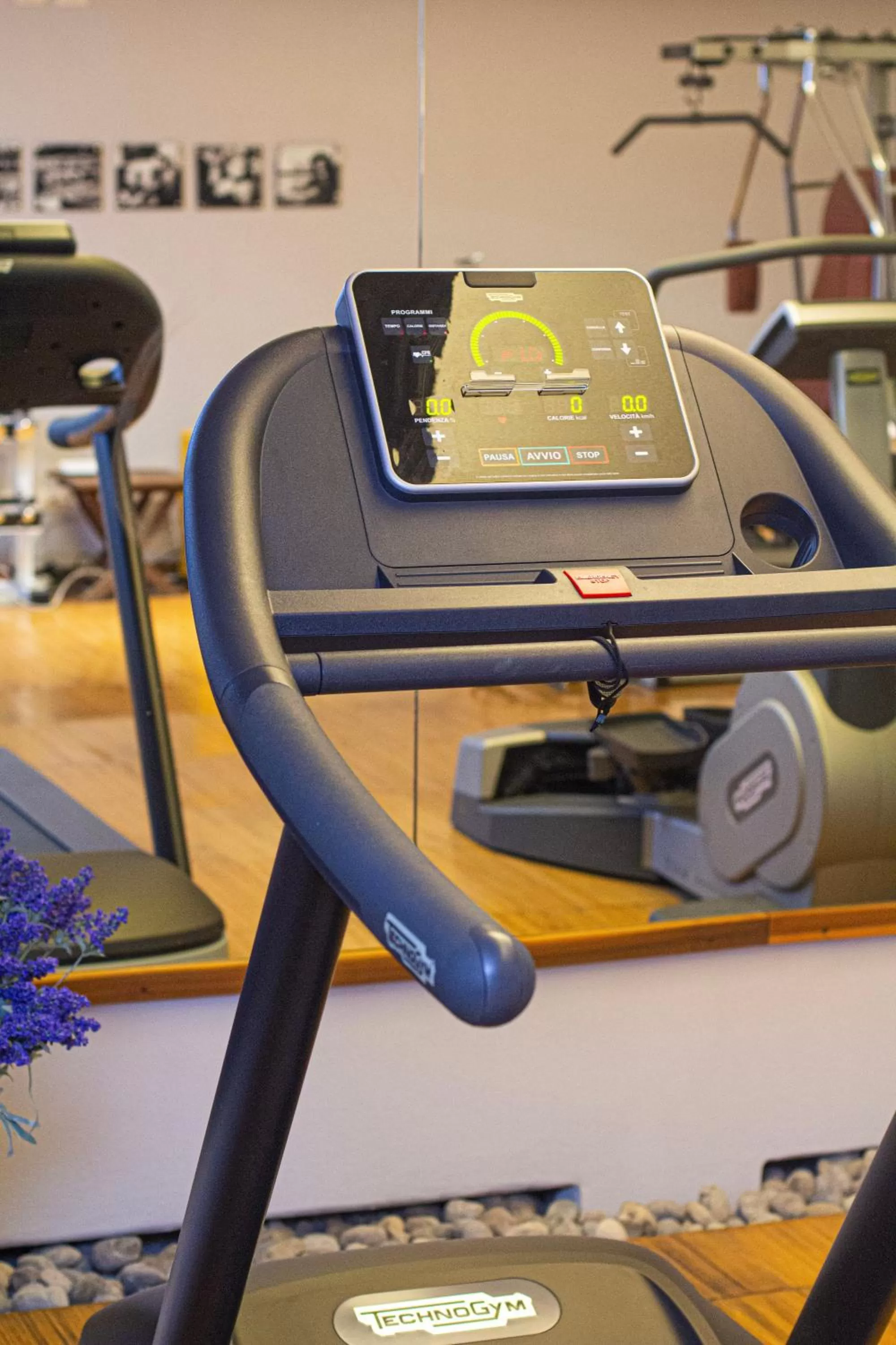 Fitness centre/facilities in LVG Hotel Collection - Cavour