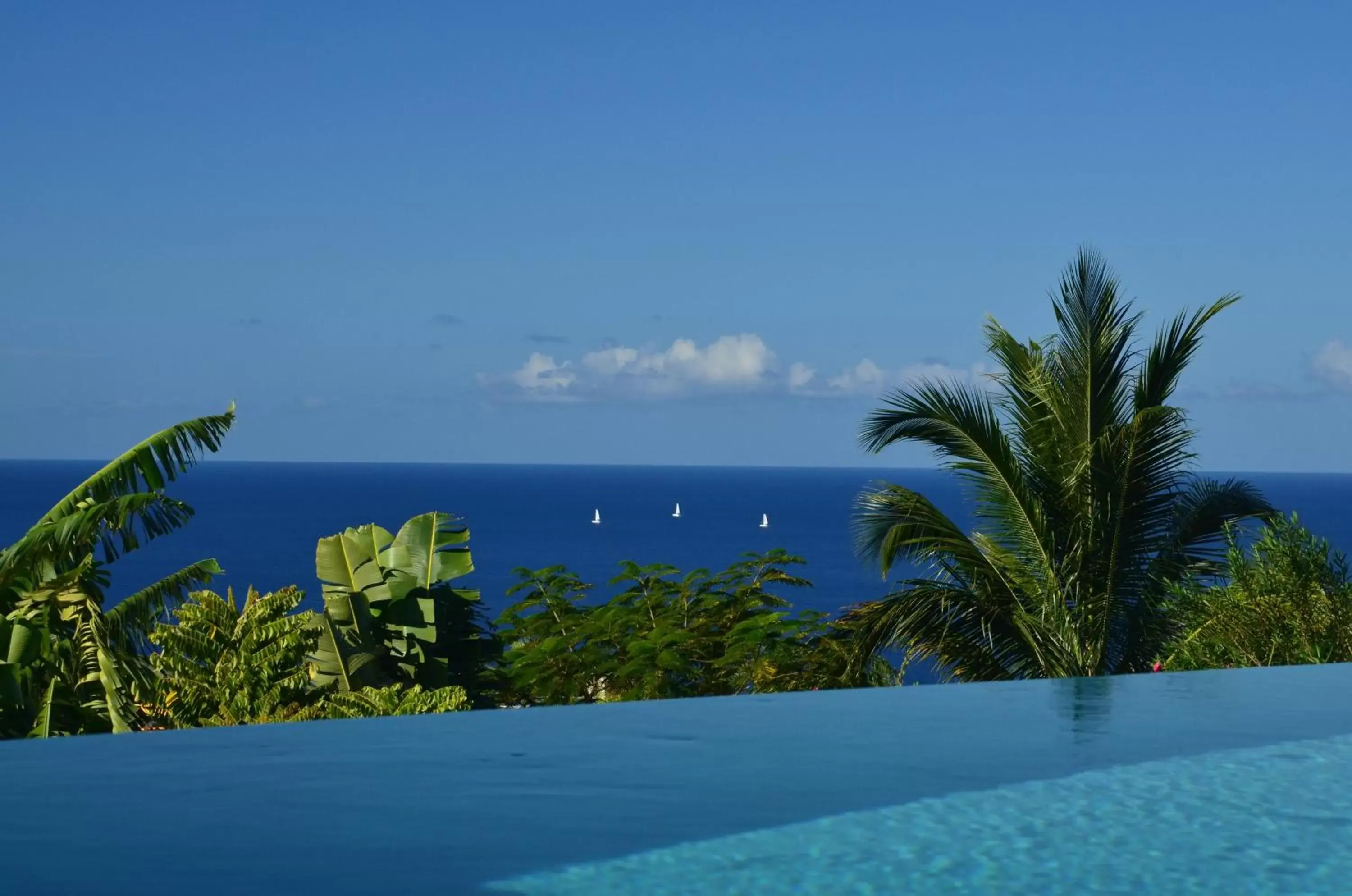 Pool view in Tet Rouge Resort