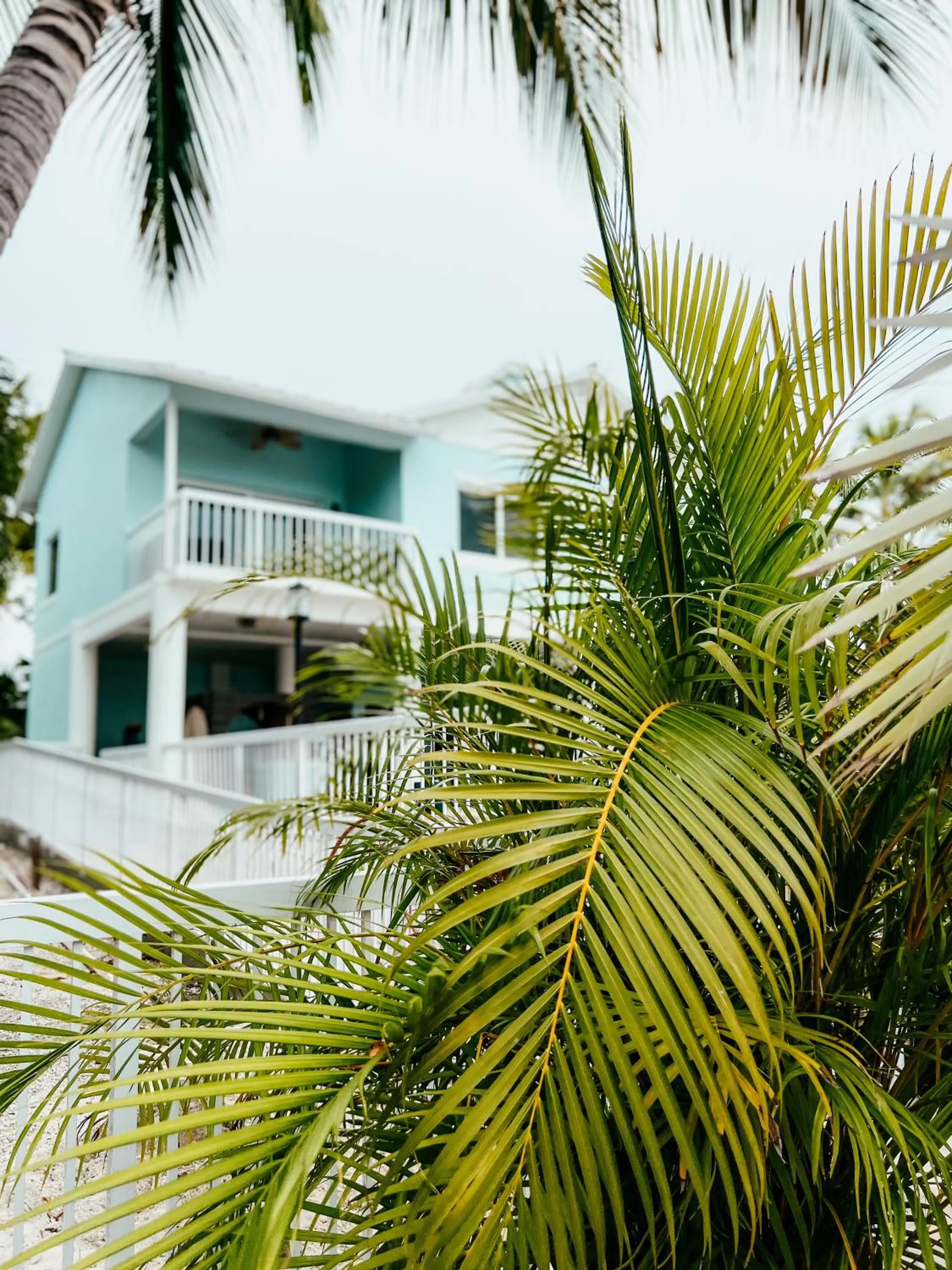 Property building in Bayside Inn Key Largo
