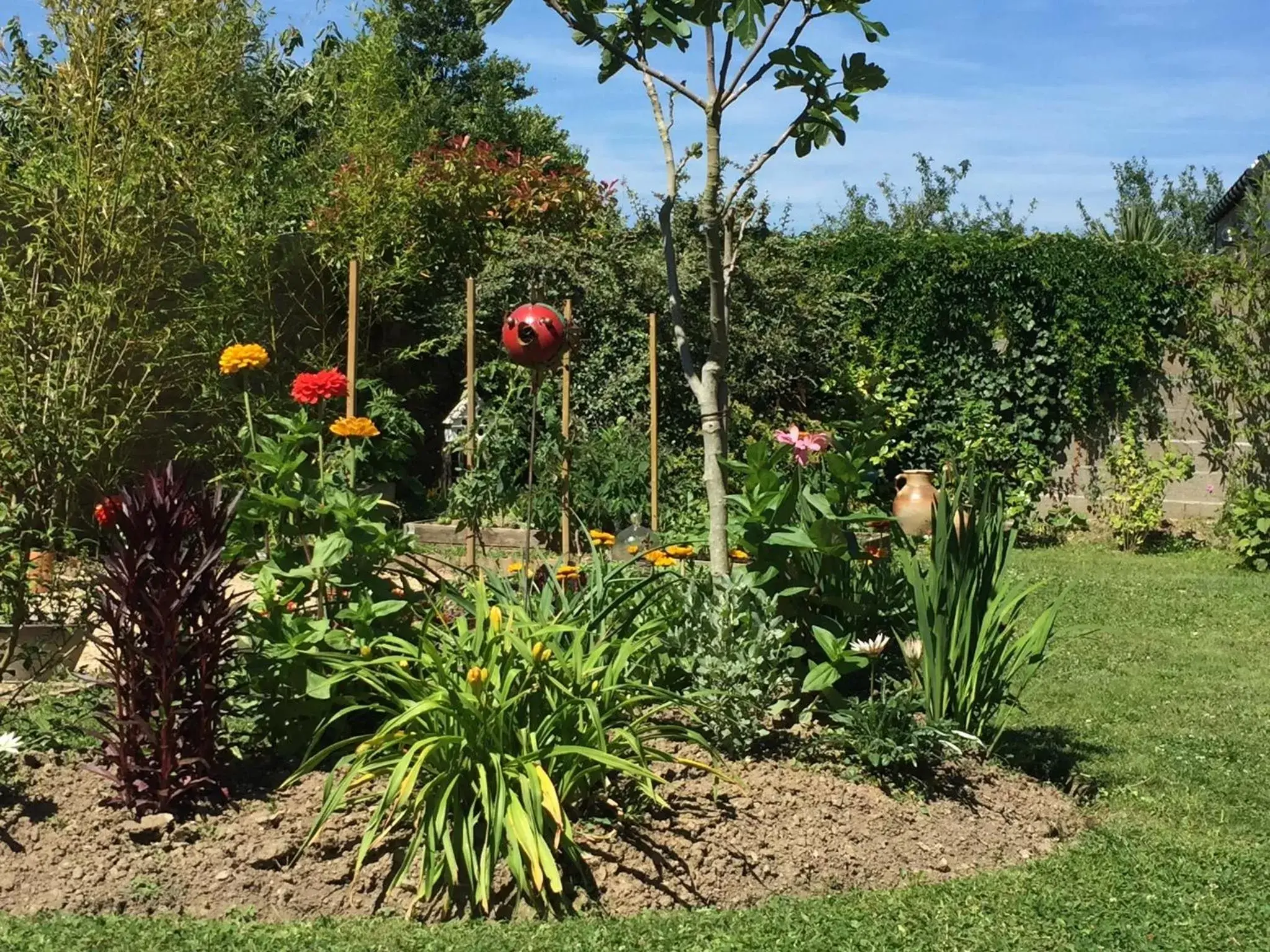 Garden in A La Birochère Chambre d hôtes classée 3 clés et Accueil Vélo