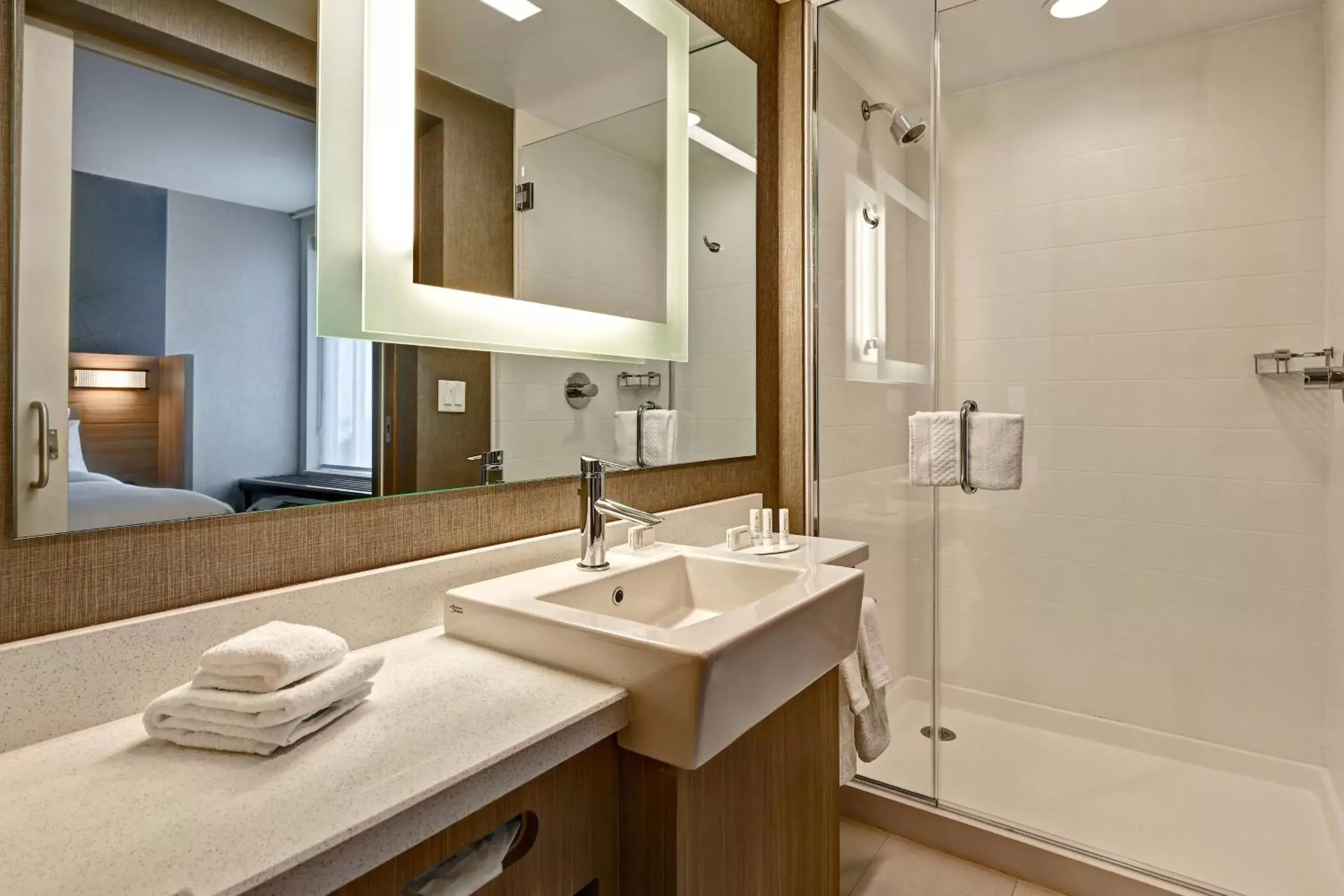 Bathroom in SpringHill Suites by Marriott Albuquerque University Area