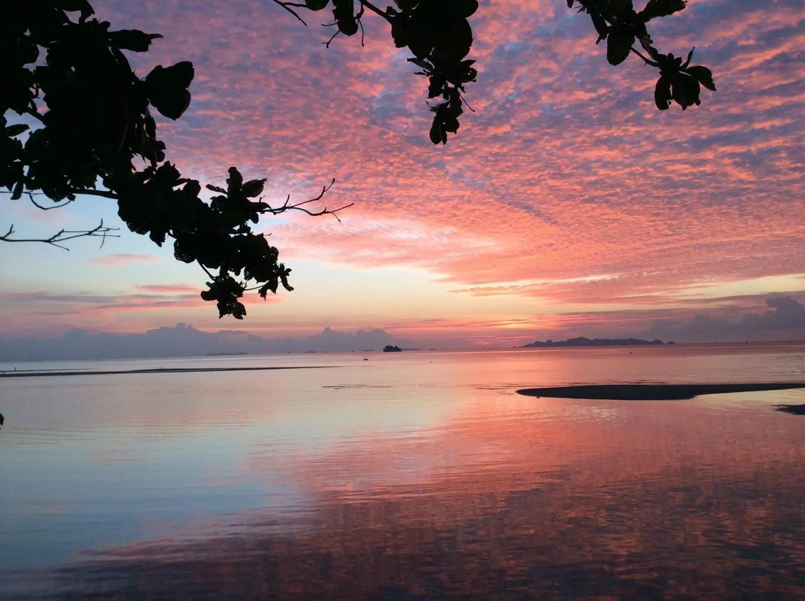 Natural landscape in Sri Samui Hotel