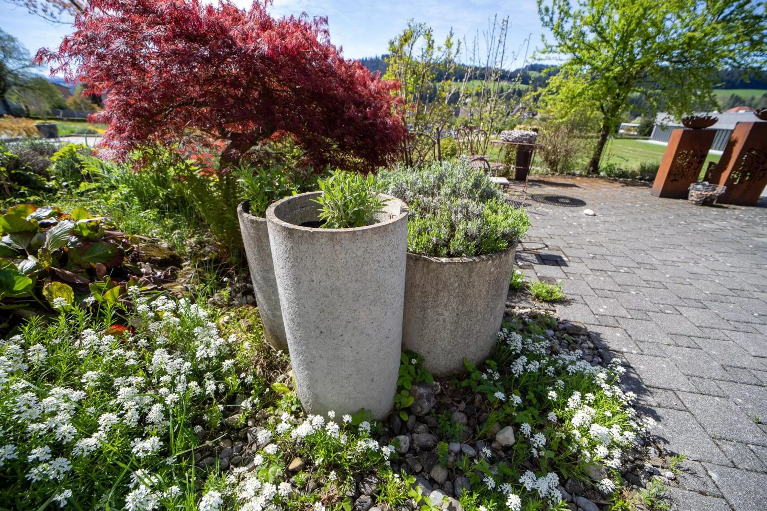 Garden in Studio Living...