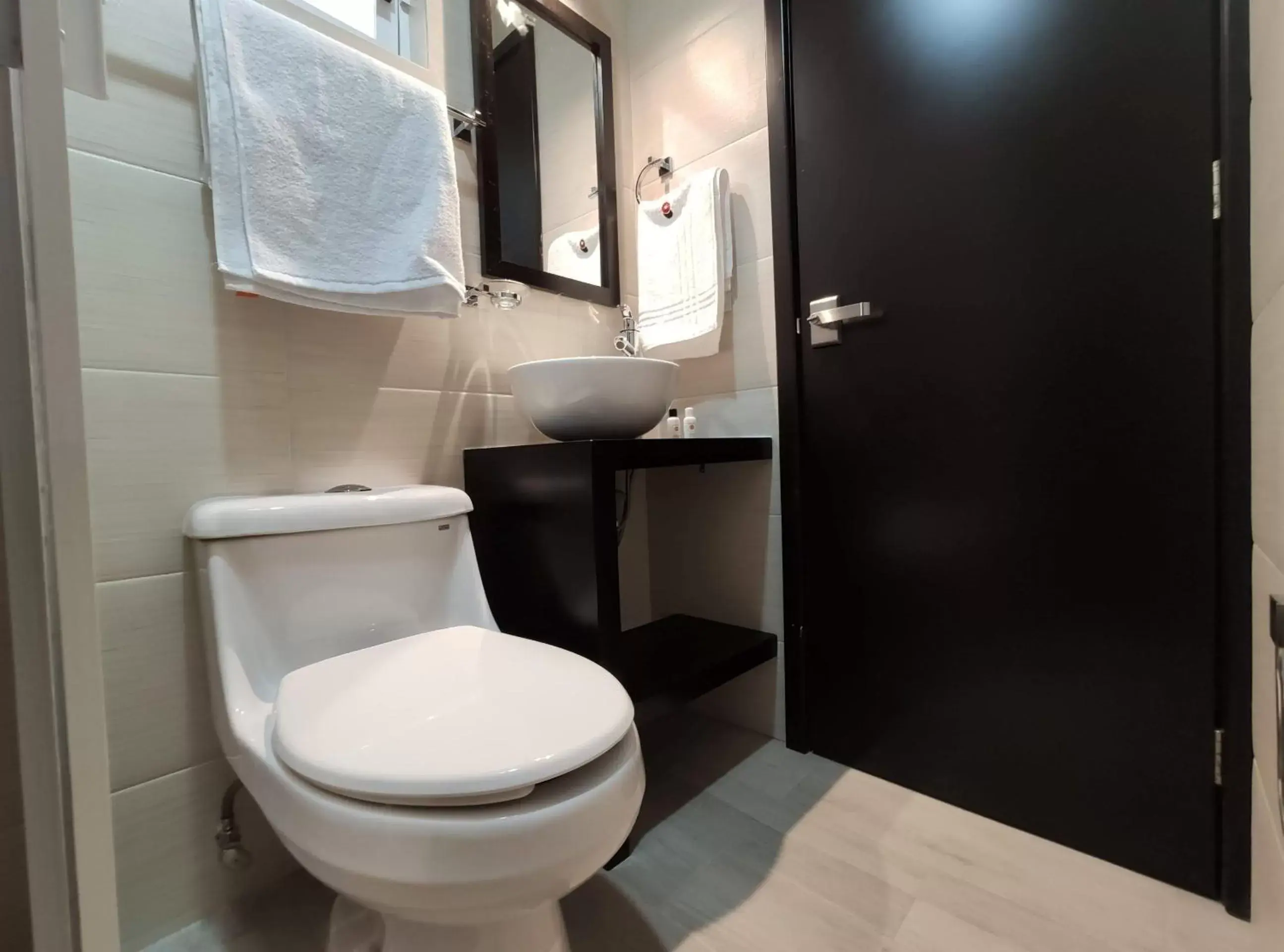 Toilet, Bathroom in Hotel La Estancia Zacatlan
