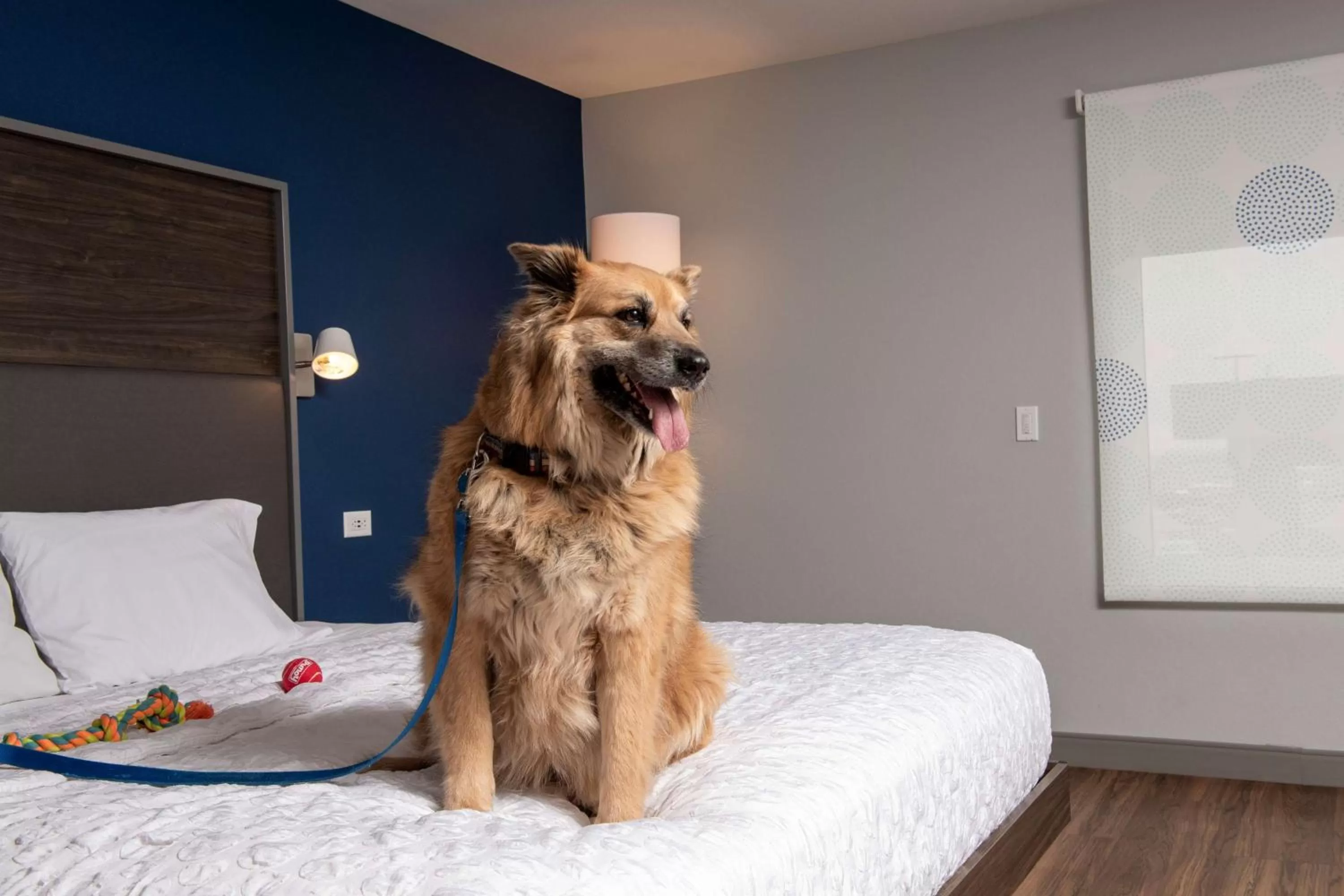 Photo of the whole room in Tru By Hilton Rapid City Rushmore, Sd