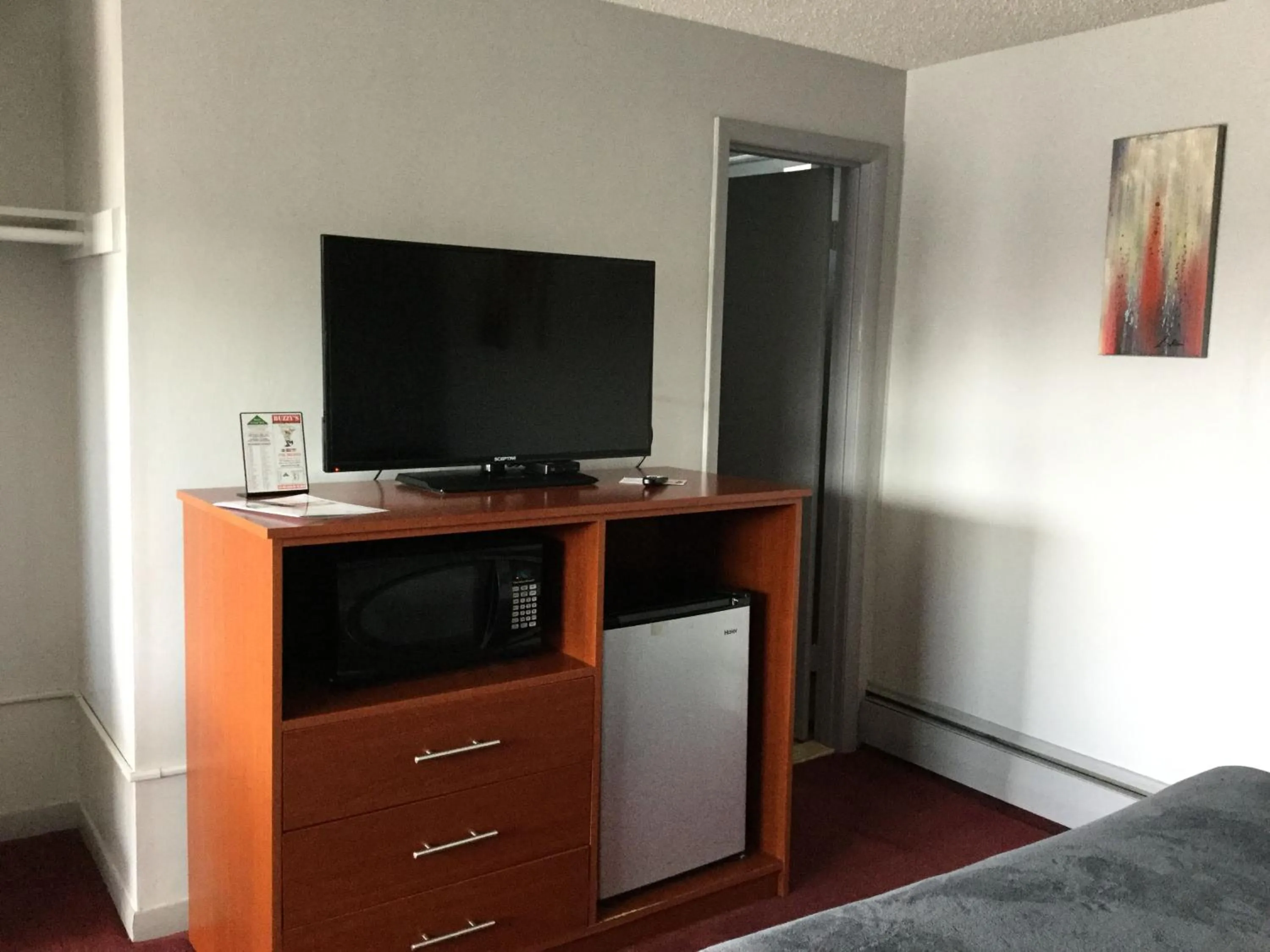 TV and multimedia in Swiss Cottage Inn