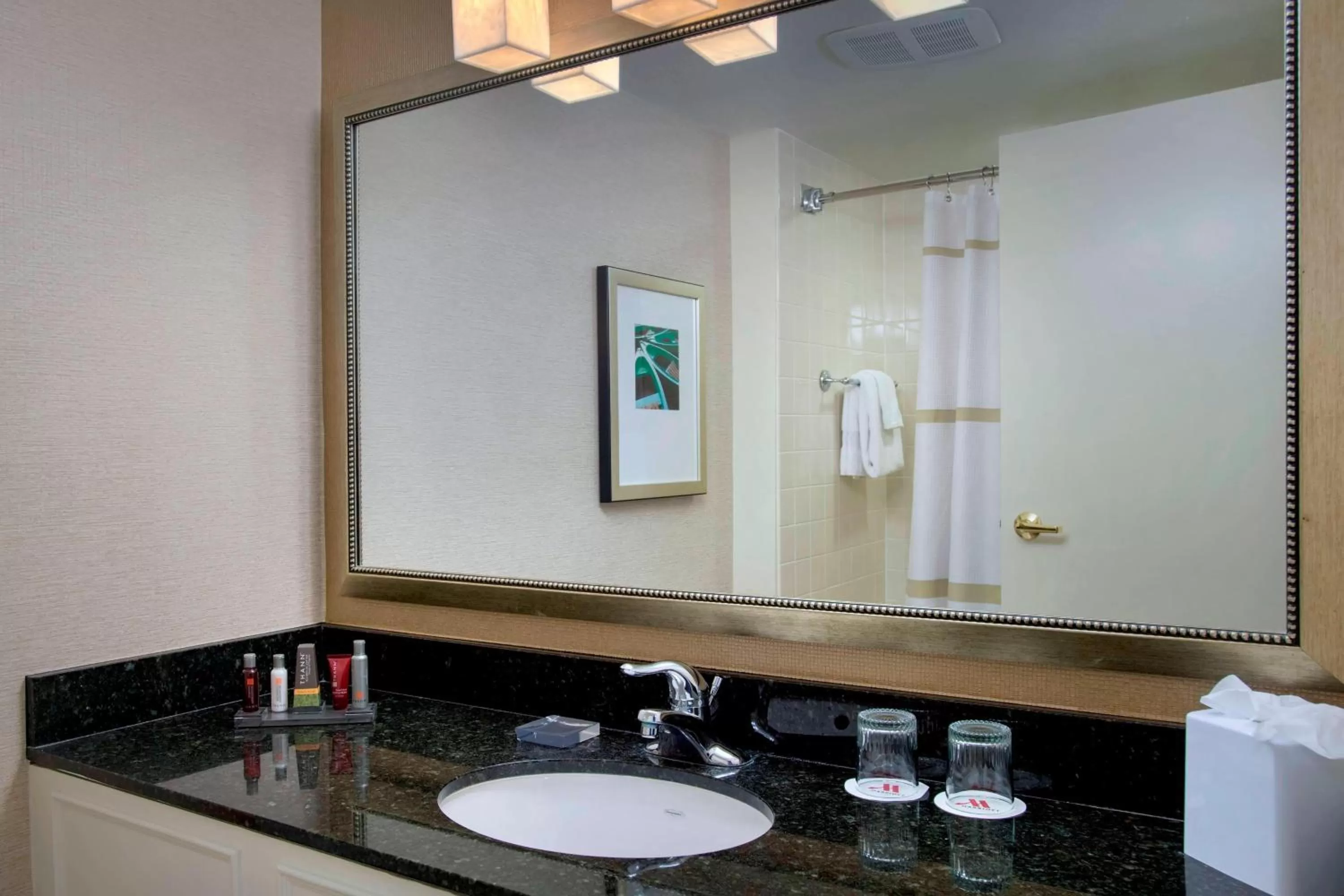 Bathroom in Boston Marriott Peabody