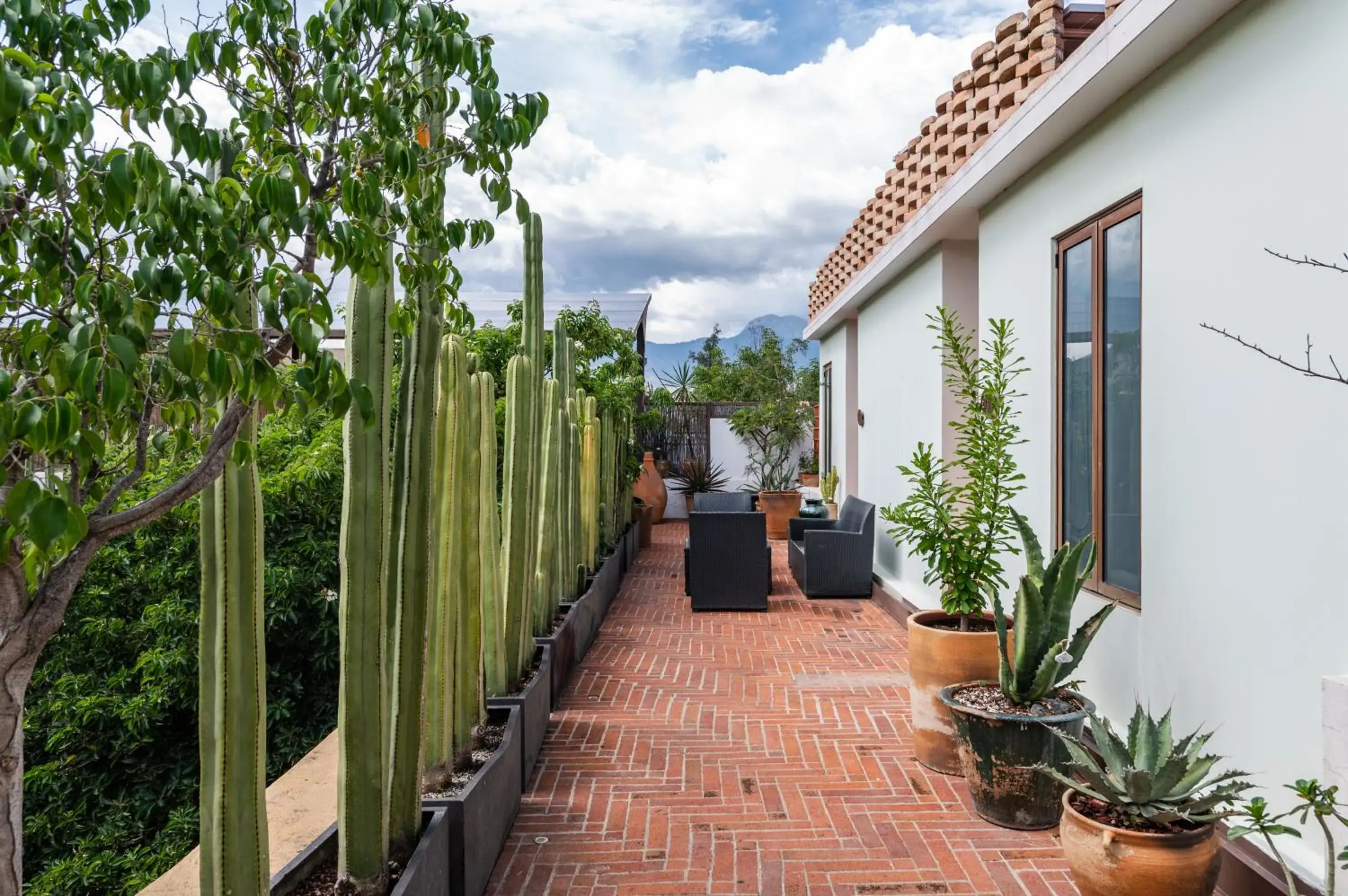 Living room in Casa De Sierra Azul