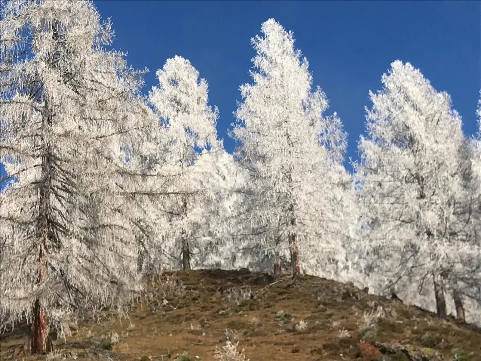 Natural landscape in Alpenhof