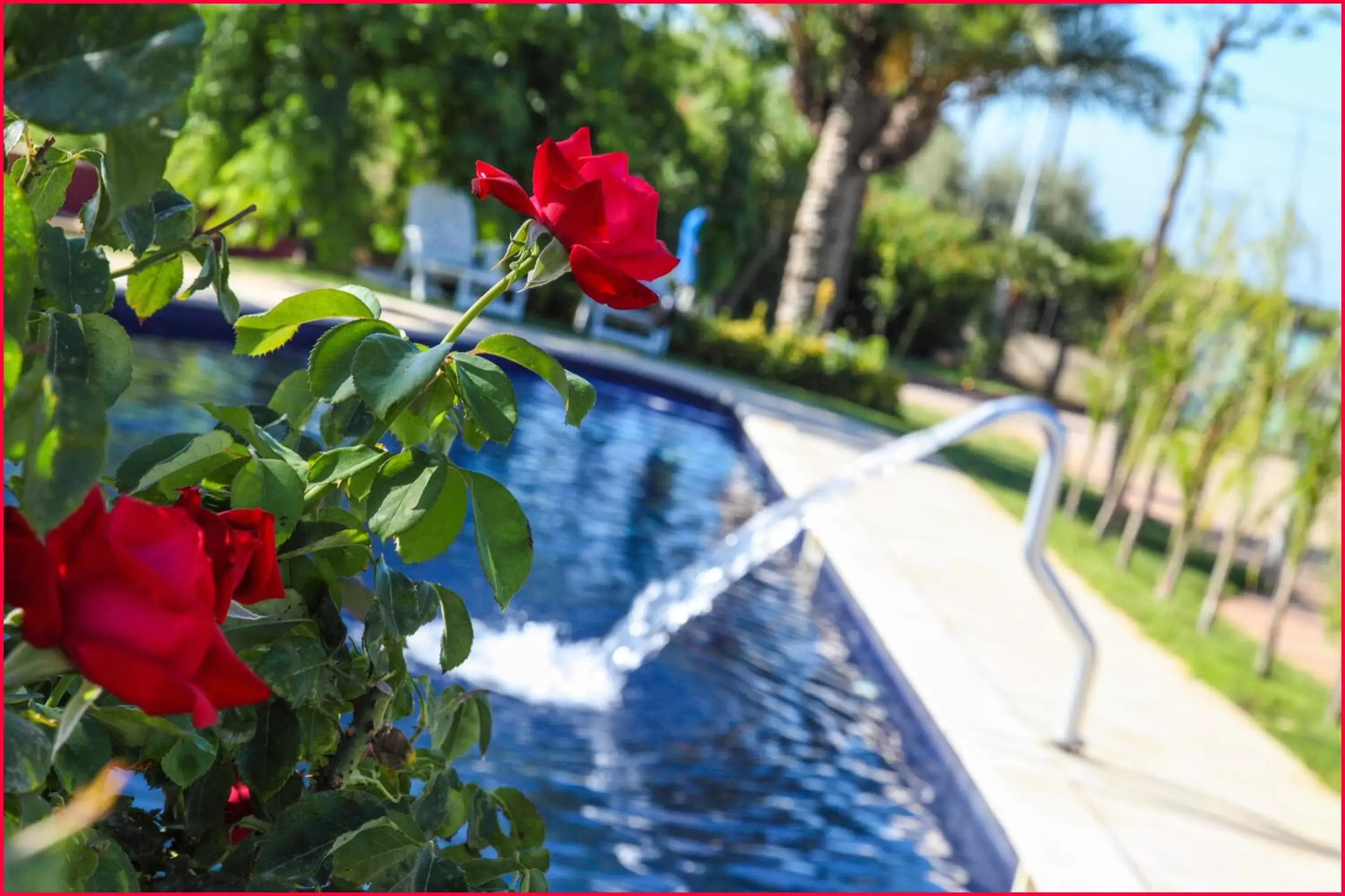 Swimming pool in Hotel Pacl